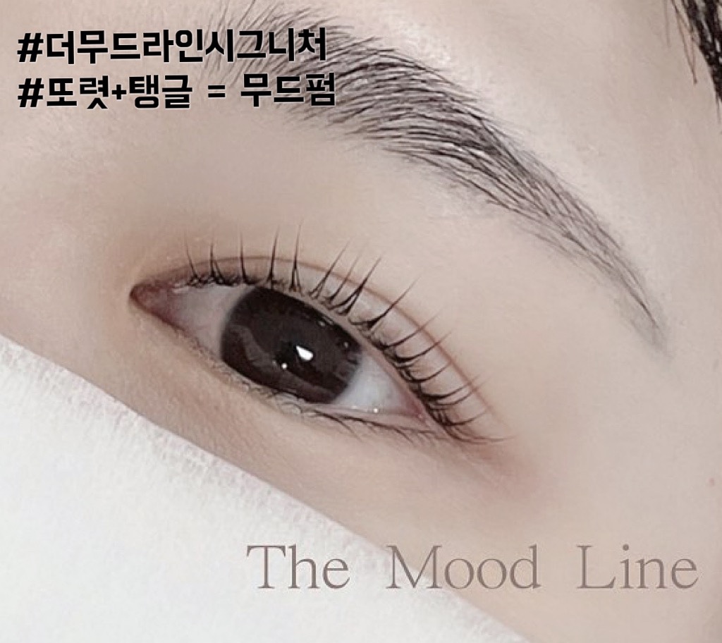 더무드라인