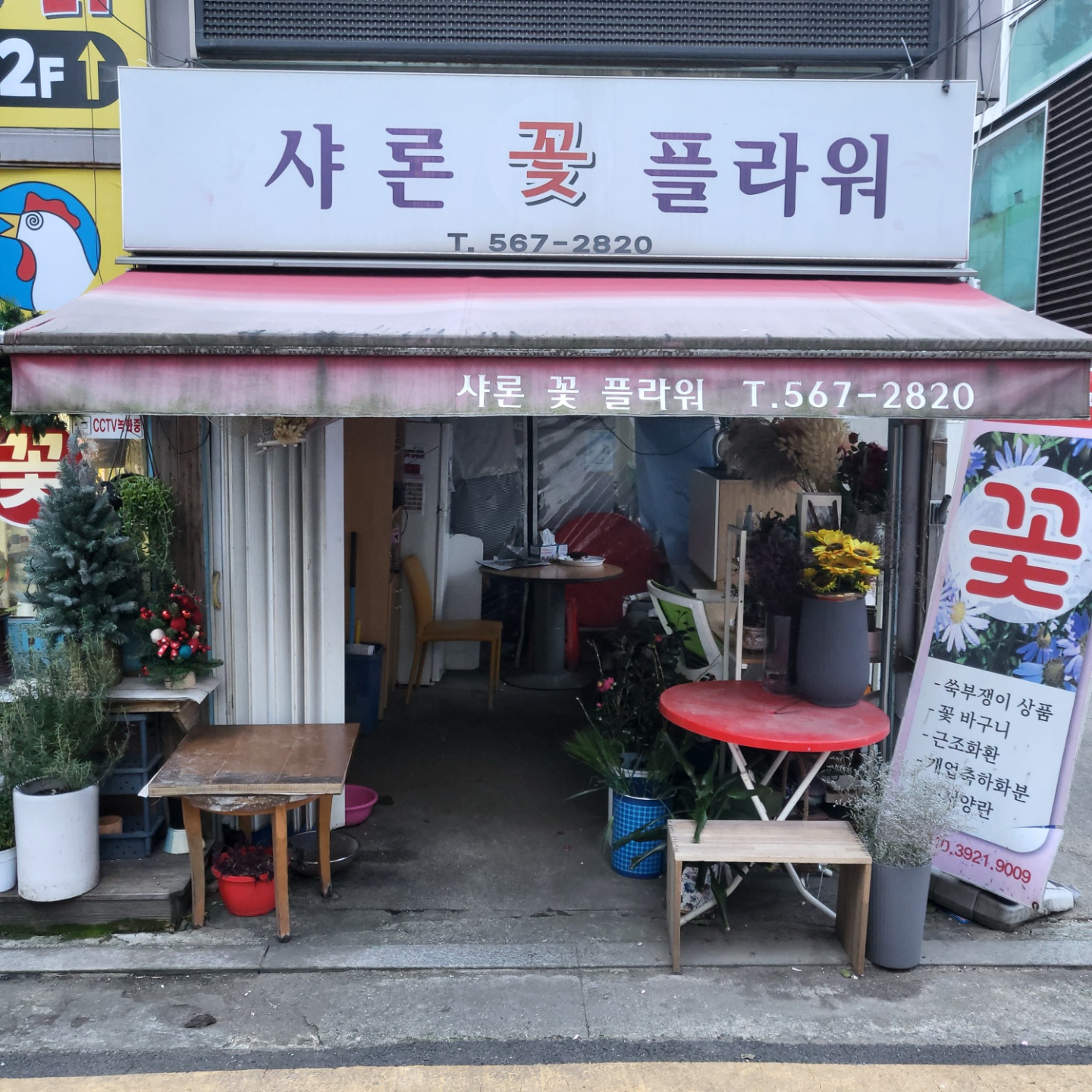 샤론꽃플라워