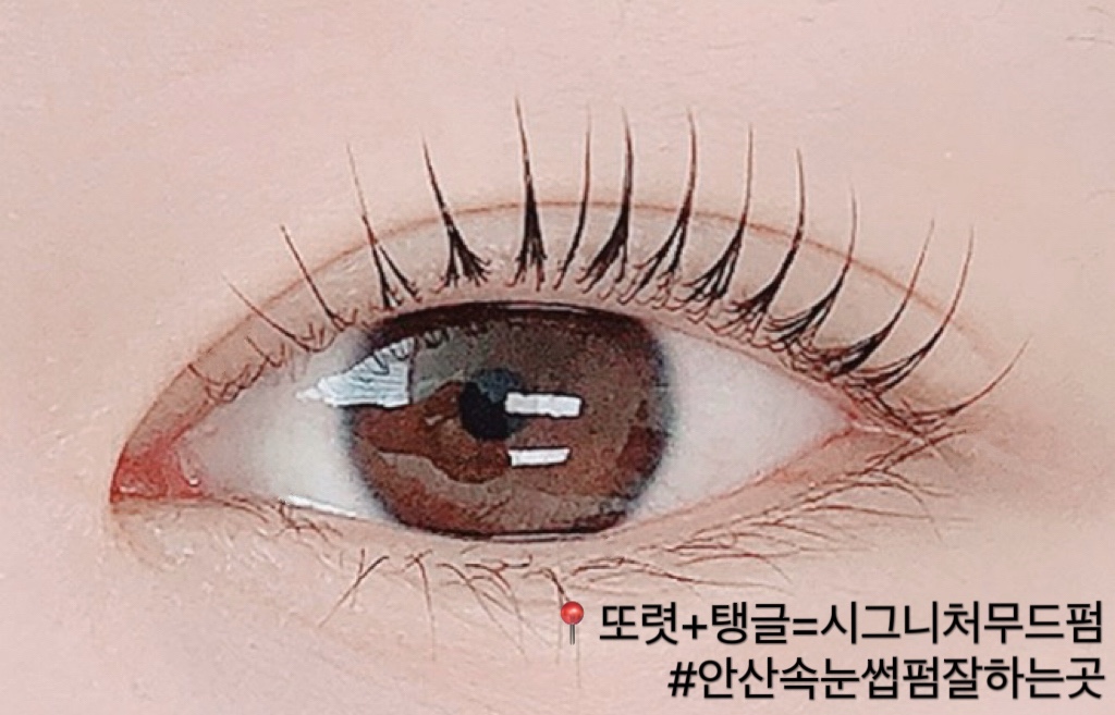 더무드라인