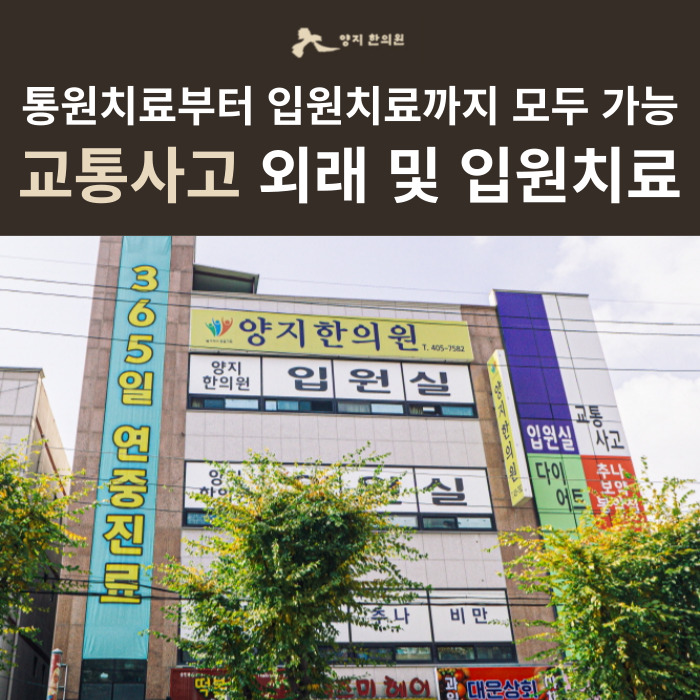 양지한의원