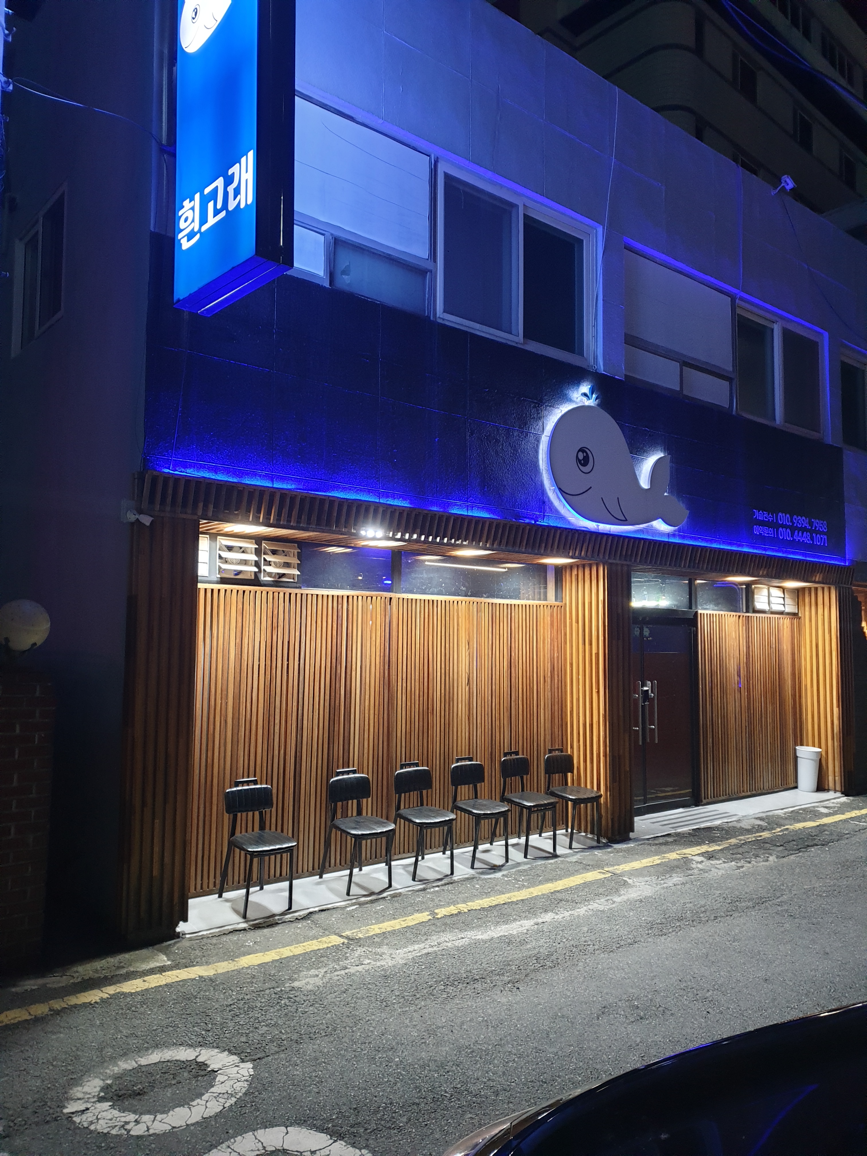 흰고래