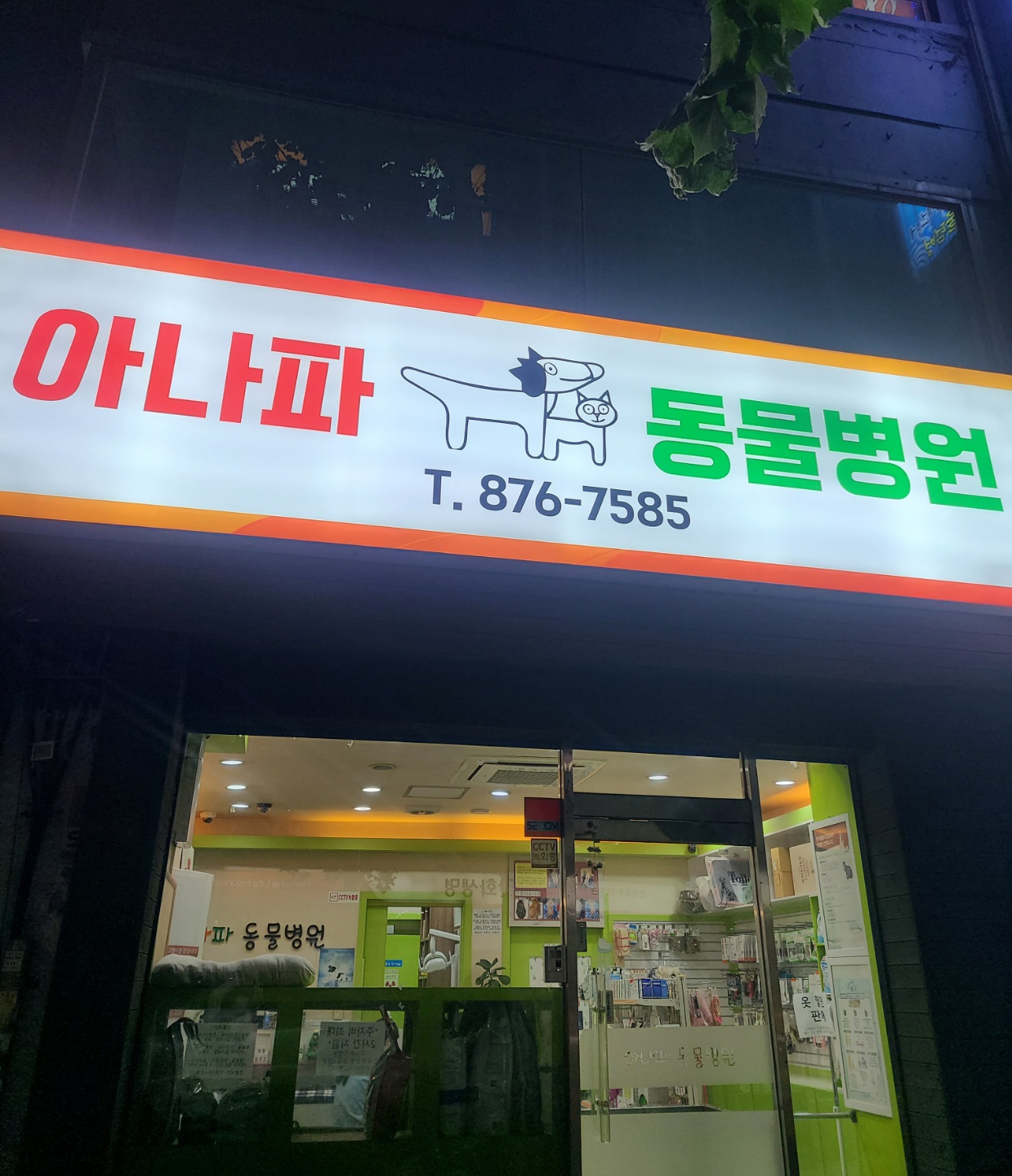 아나파동물병원