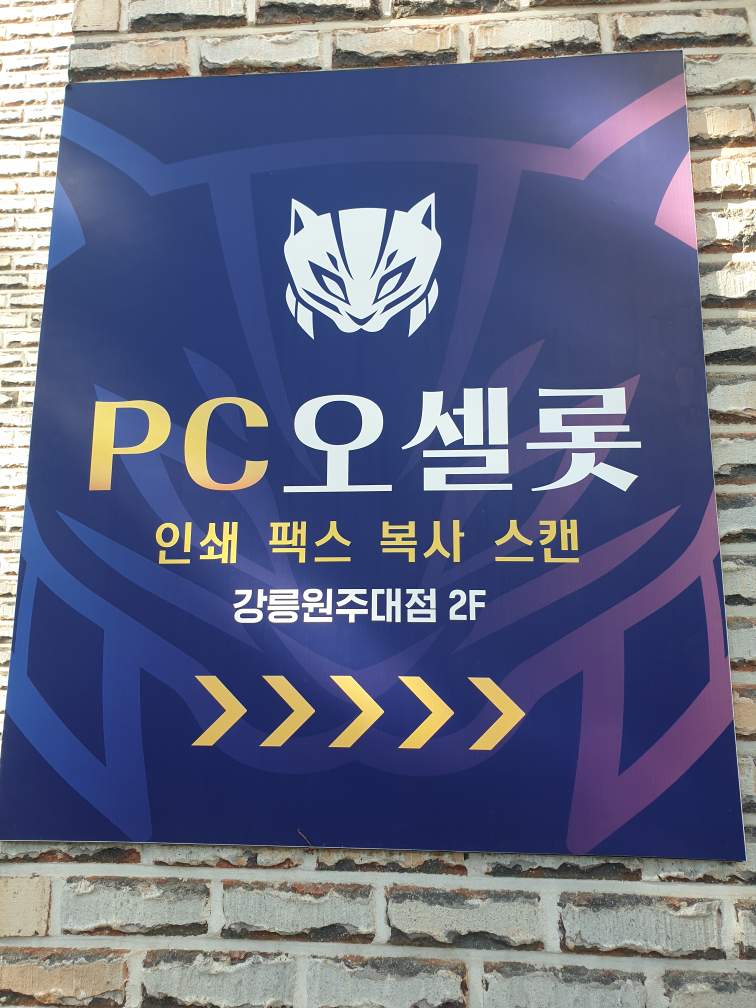 오셀롯PC 강릉원주대점