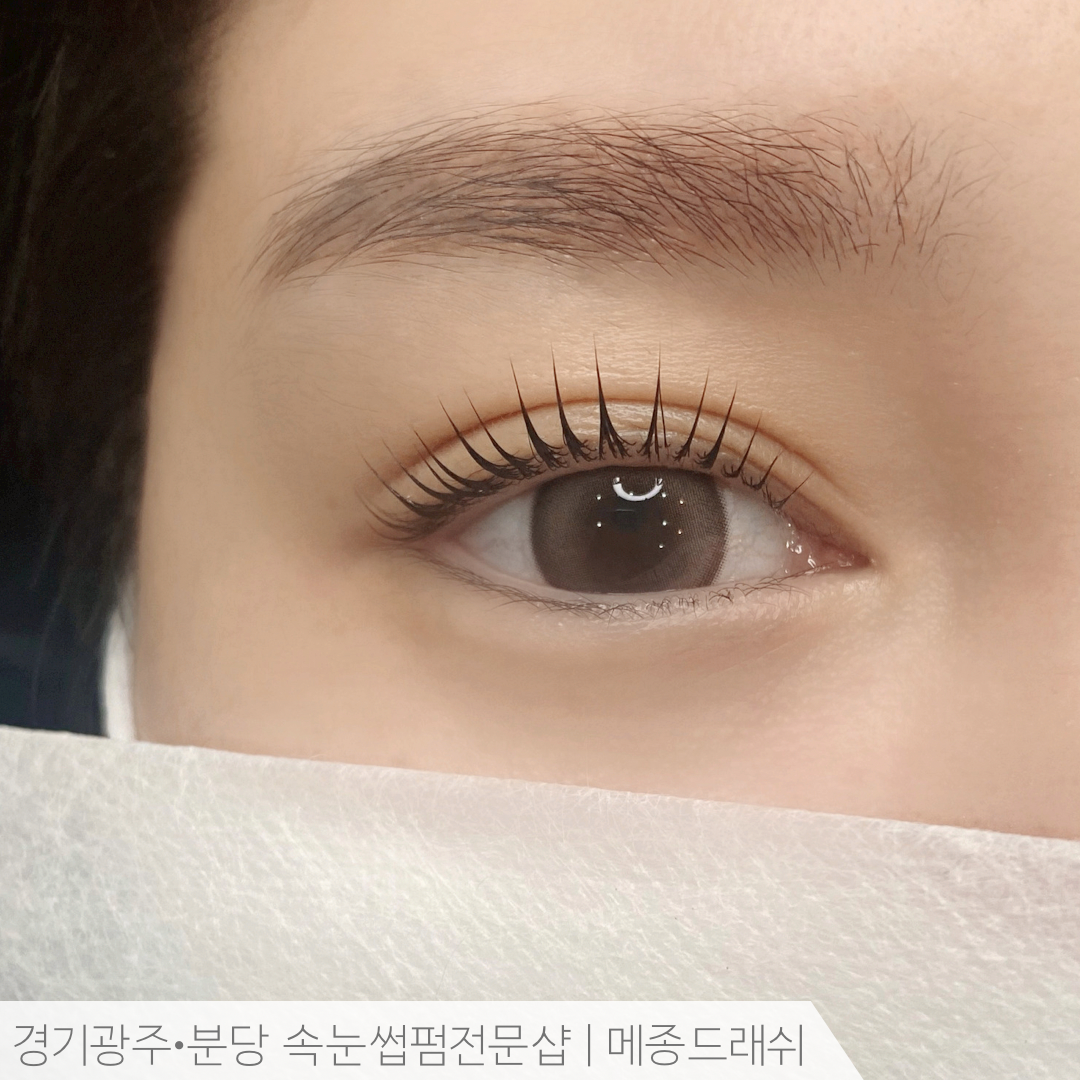메종드래쉬