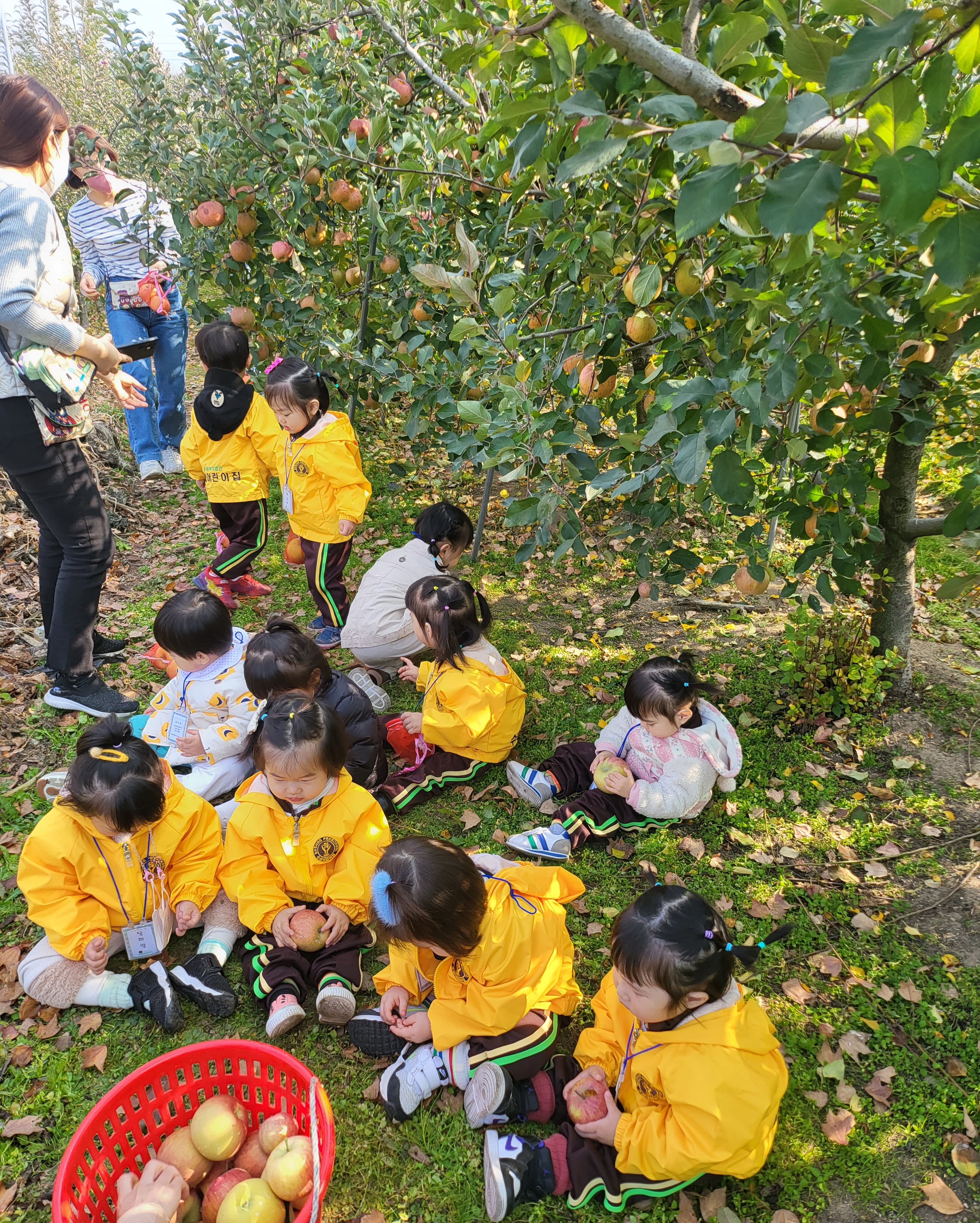 구암팜스테이체험마을영농조합법인