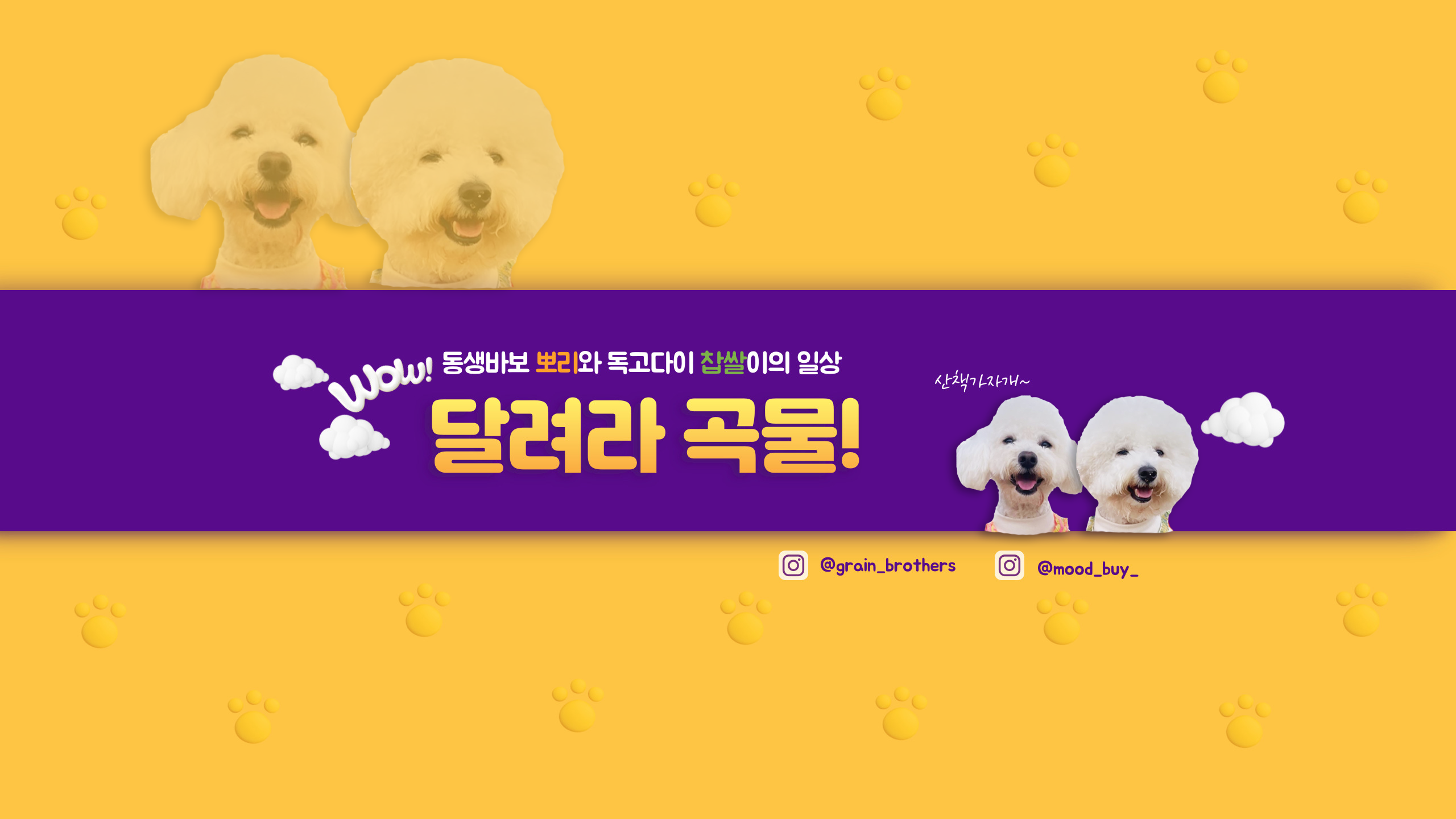 곡물이네 대표 이미지