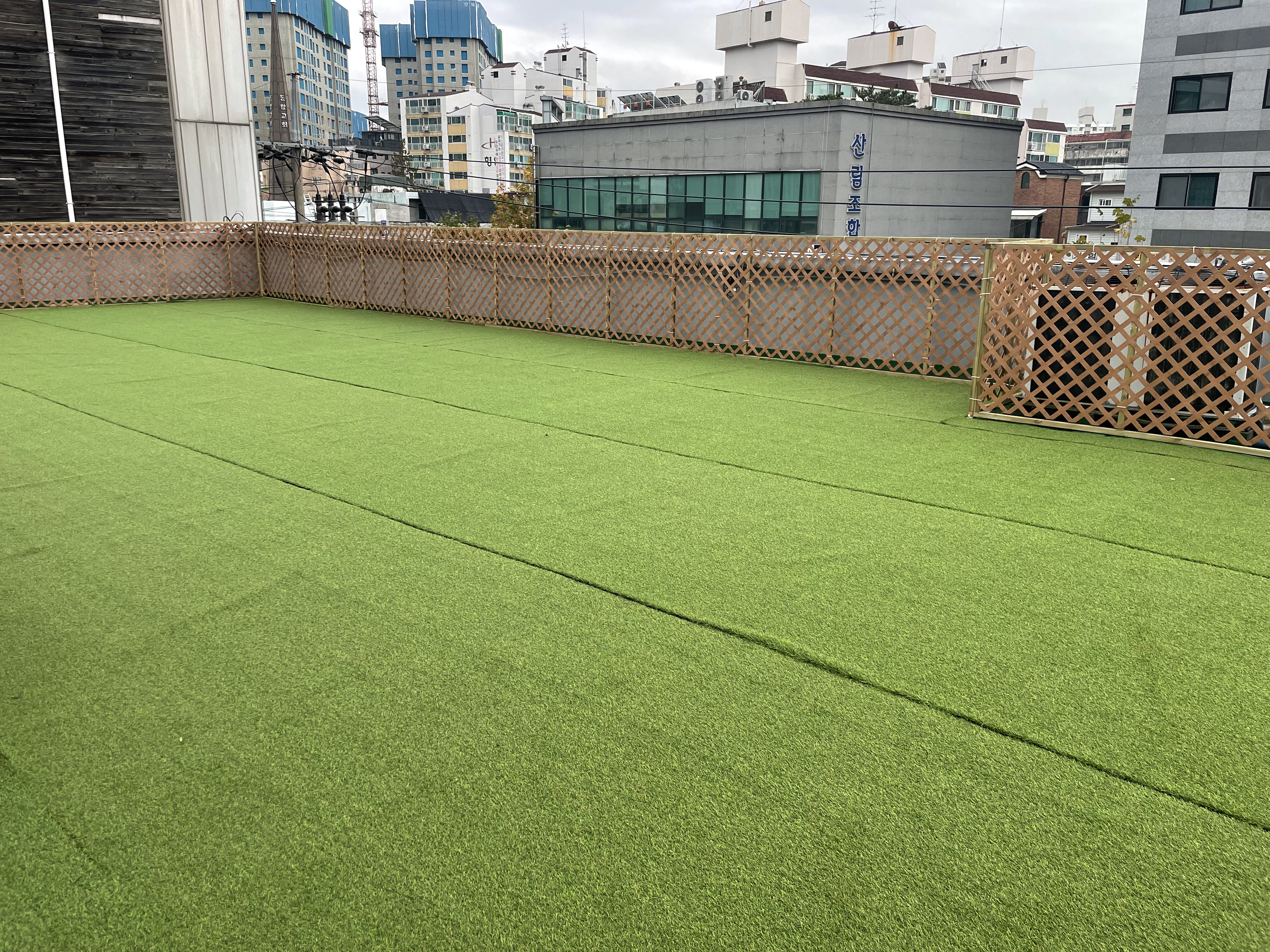 멍글멍글 강아지유치원 대표 이미지