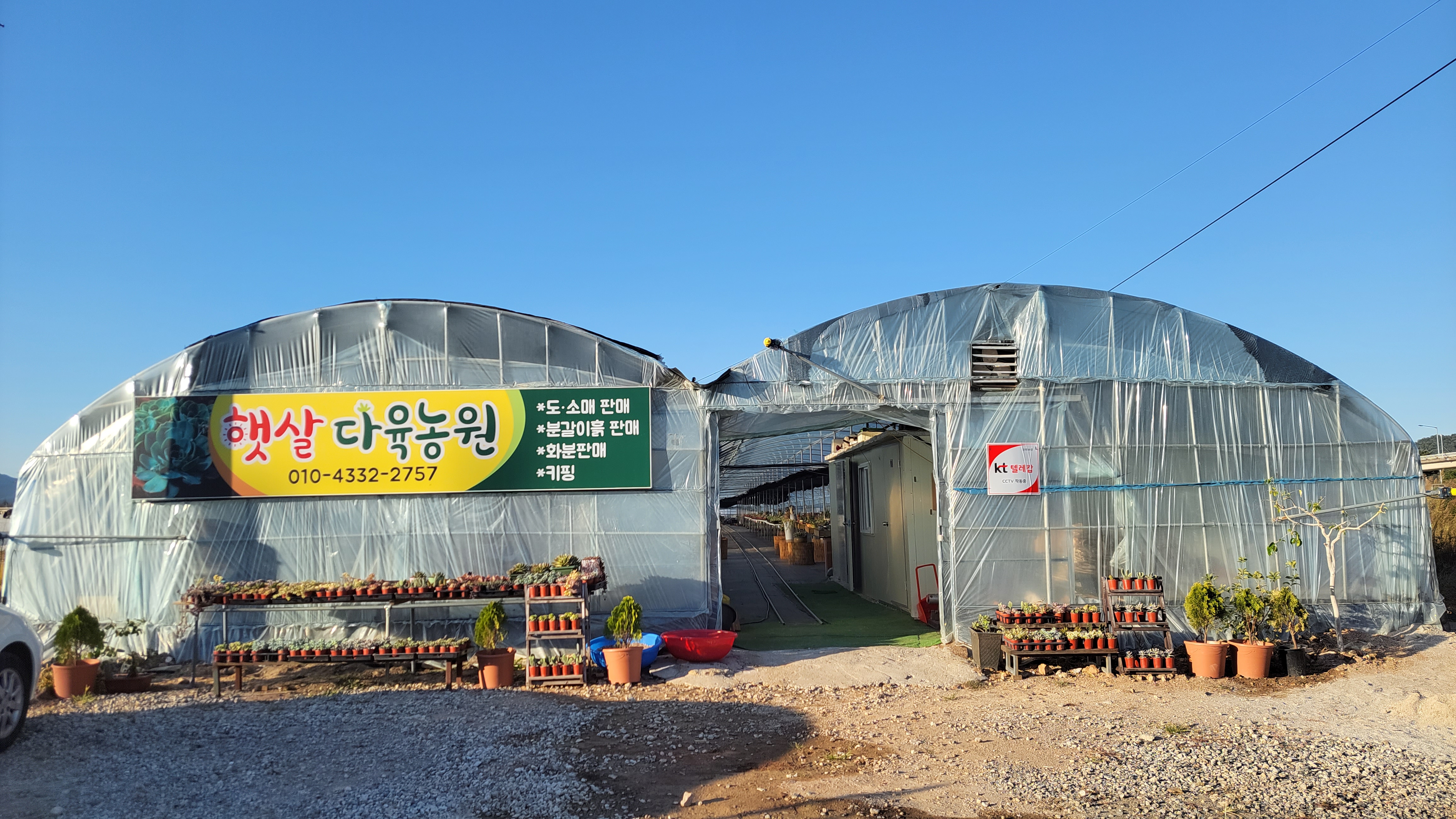 햇살다육농원
