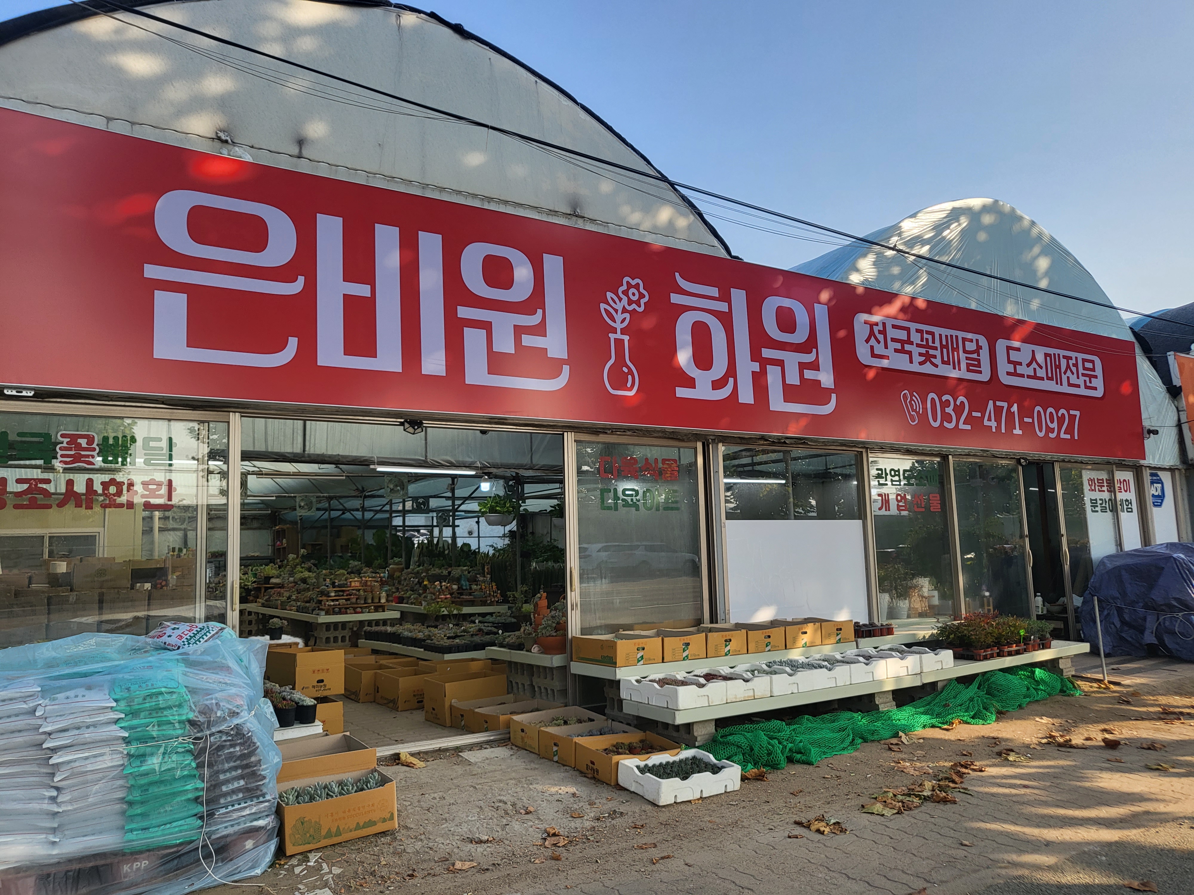 은비원화원