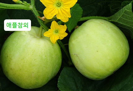 한웅큼농업회사법인