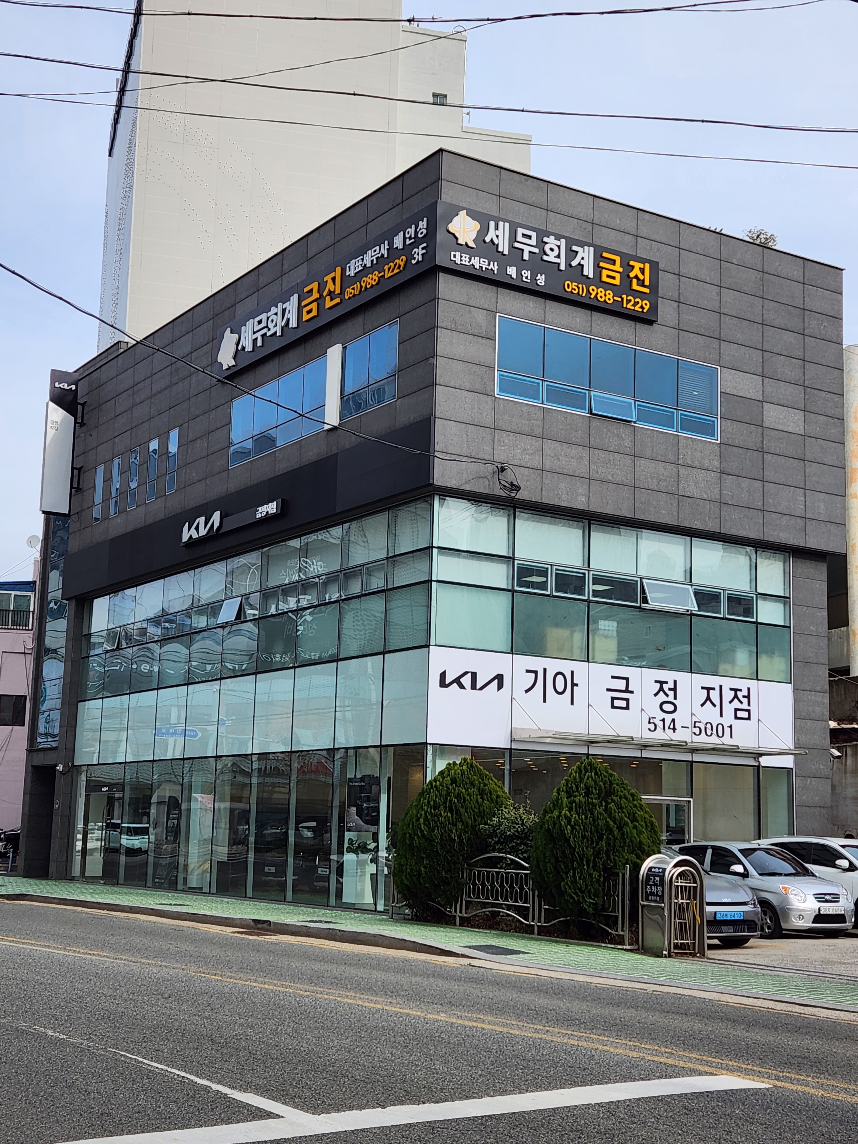 세무회계금진