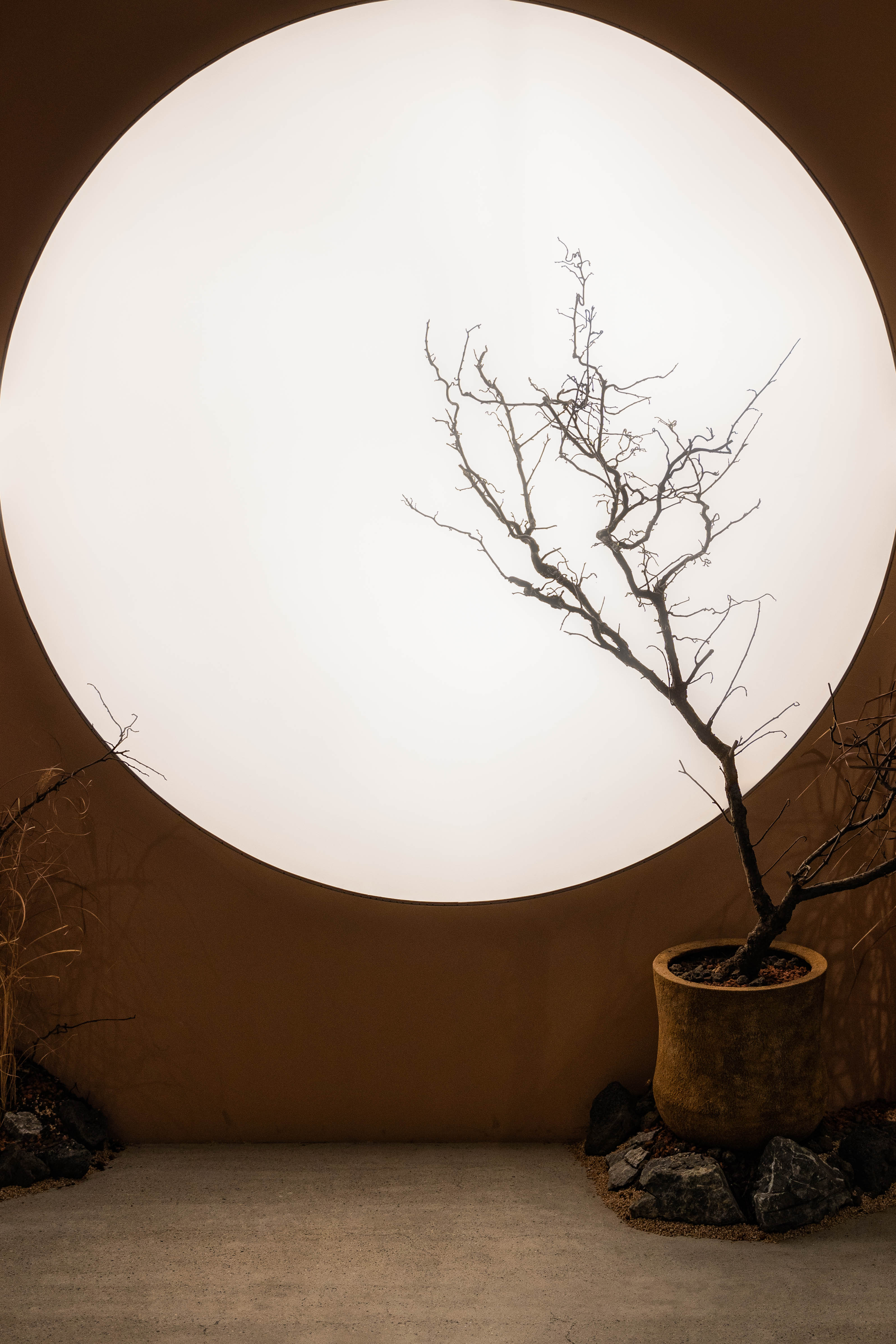 비프다이닝 온도