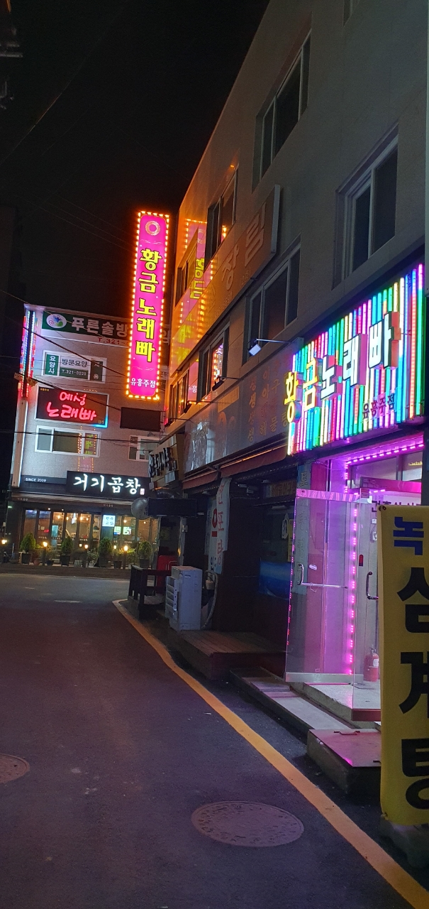황금노래빠