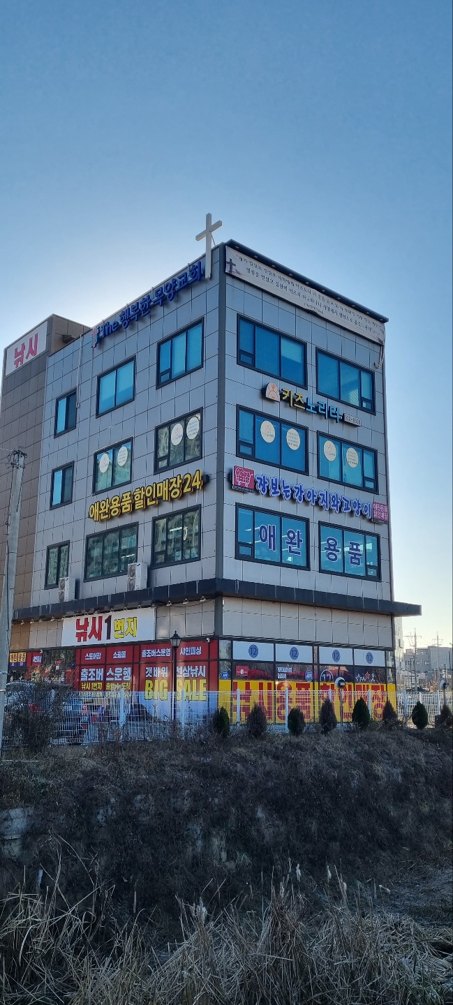 애견용품전문업체 추천 경기 고양시 지역 우수업체 강아지목줄 강아지쿨나시 강아지쿨조끼 장보는강아지와고양이 일산덕이점