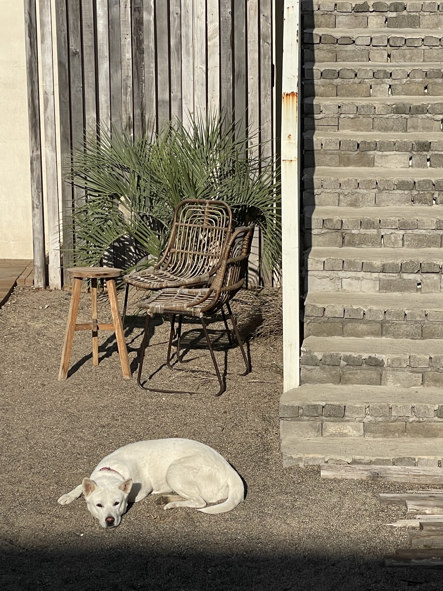 그레이그로브 대표 이미지