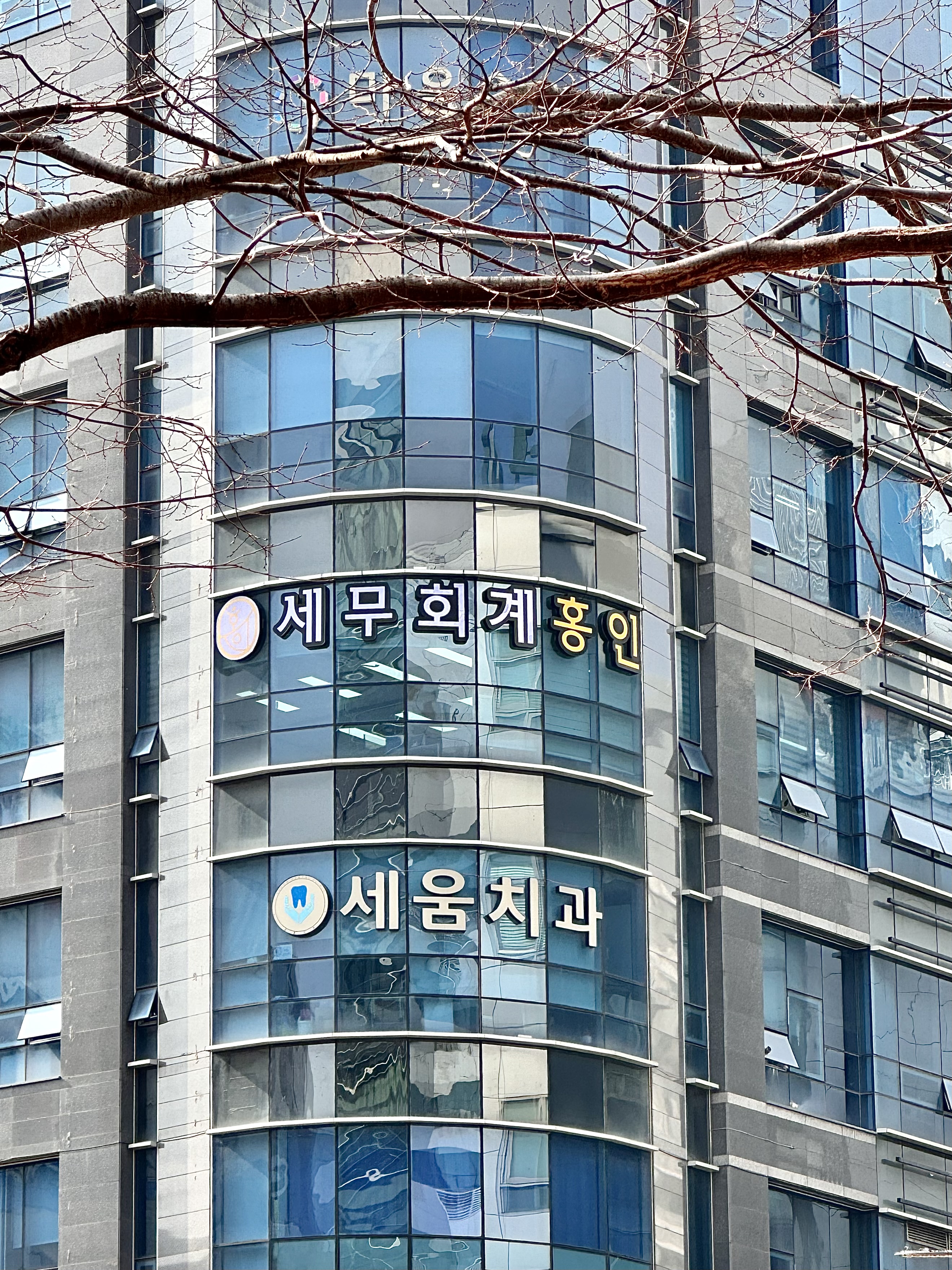 세무회계 홍인 대표 이미지