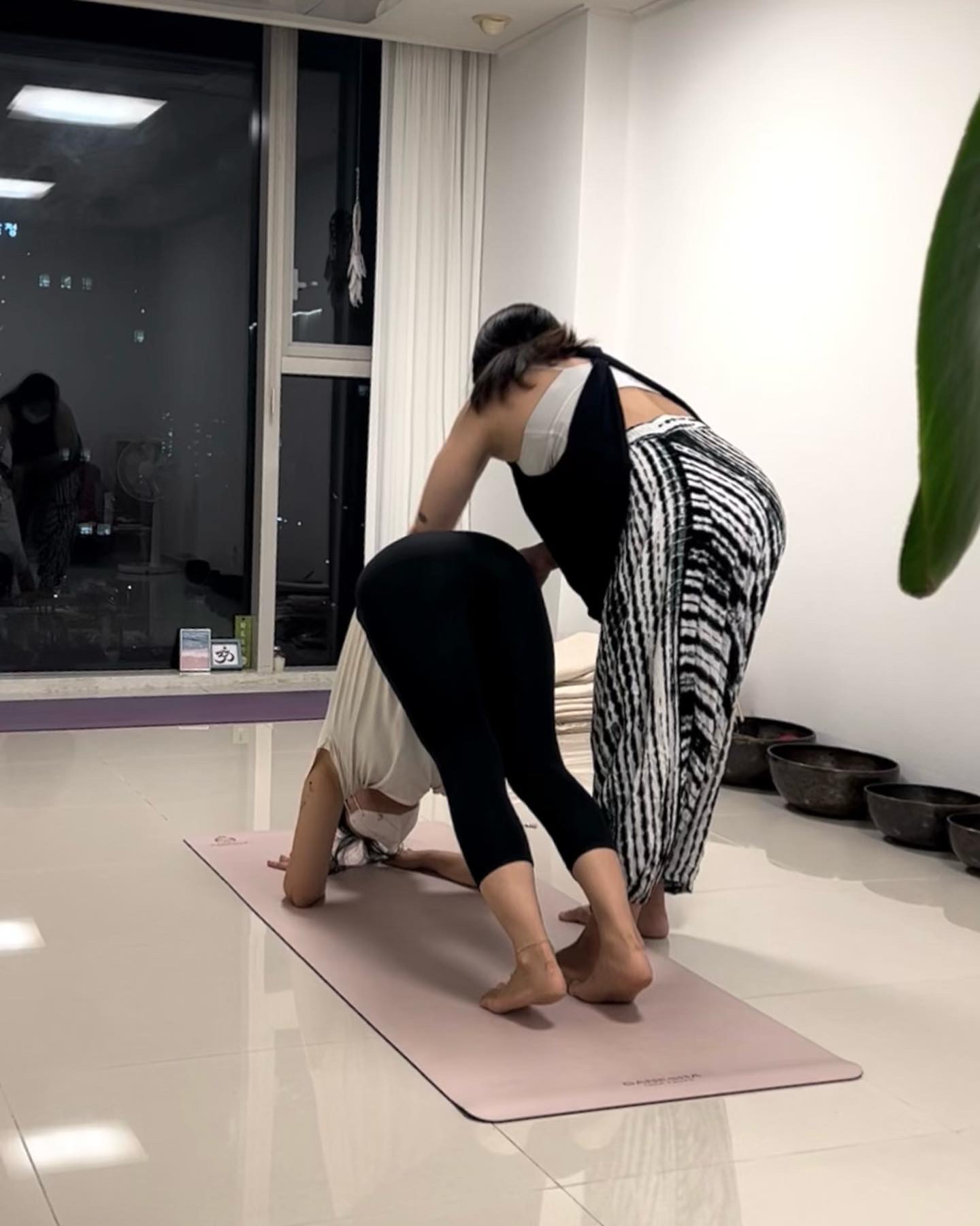 파도요가 대표 이미지