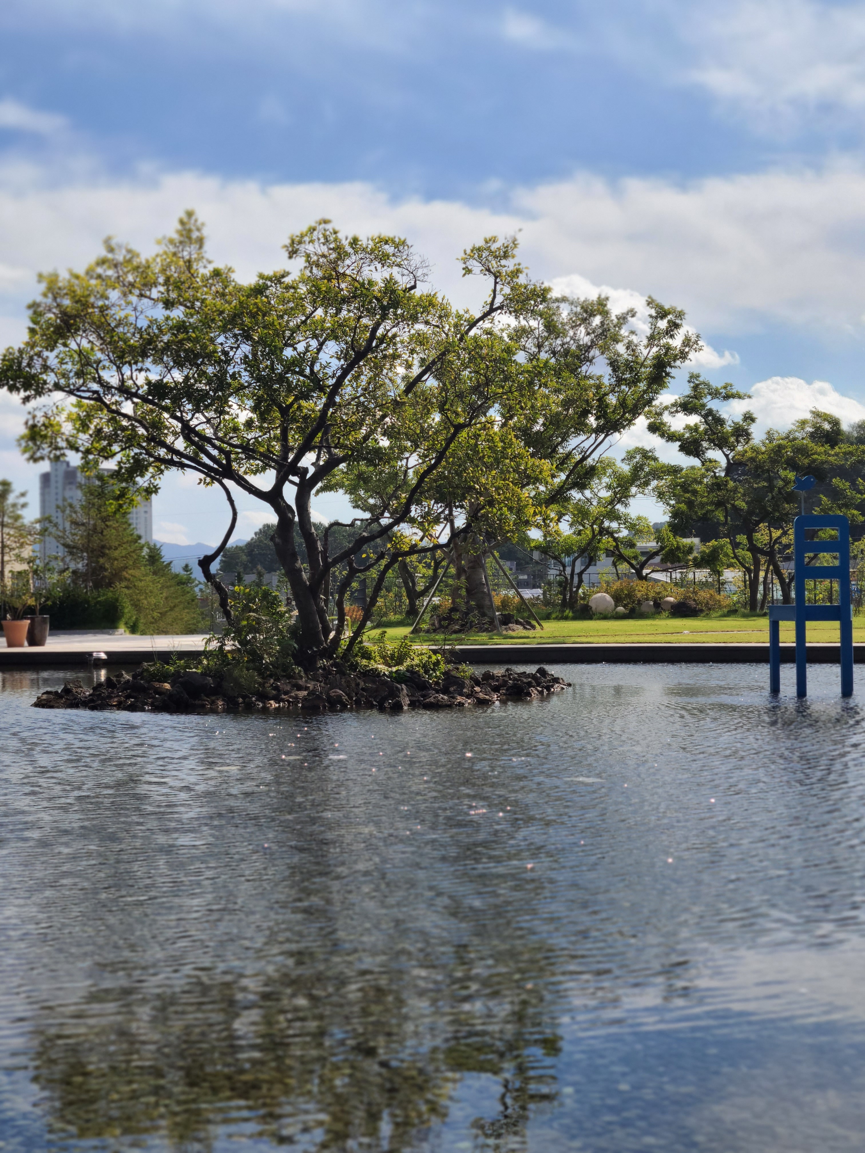 블루체어라운지카페