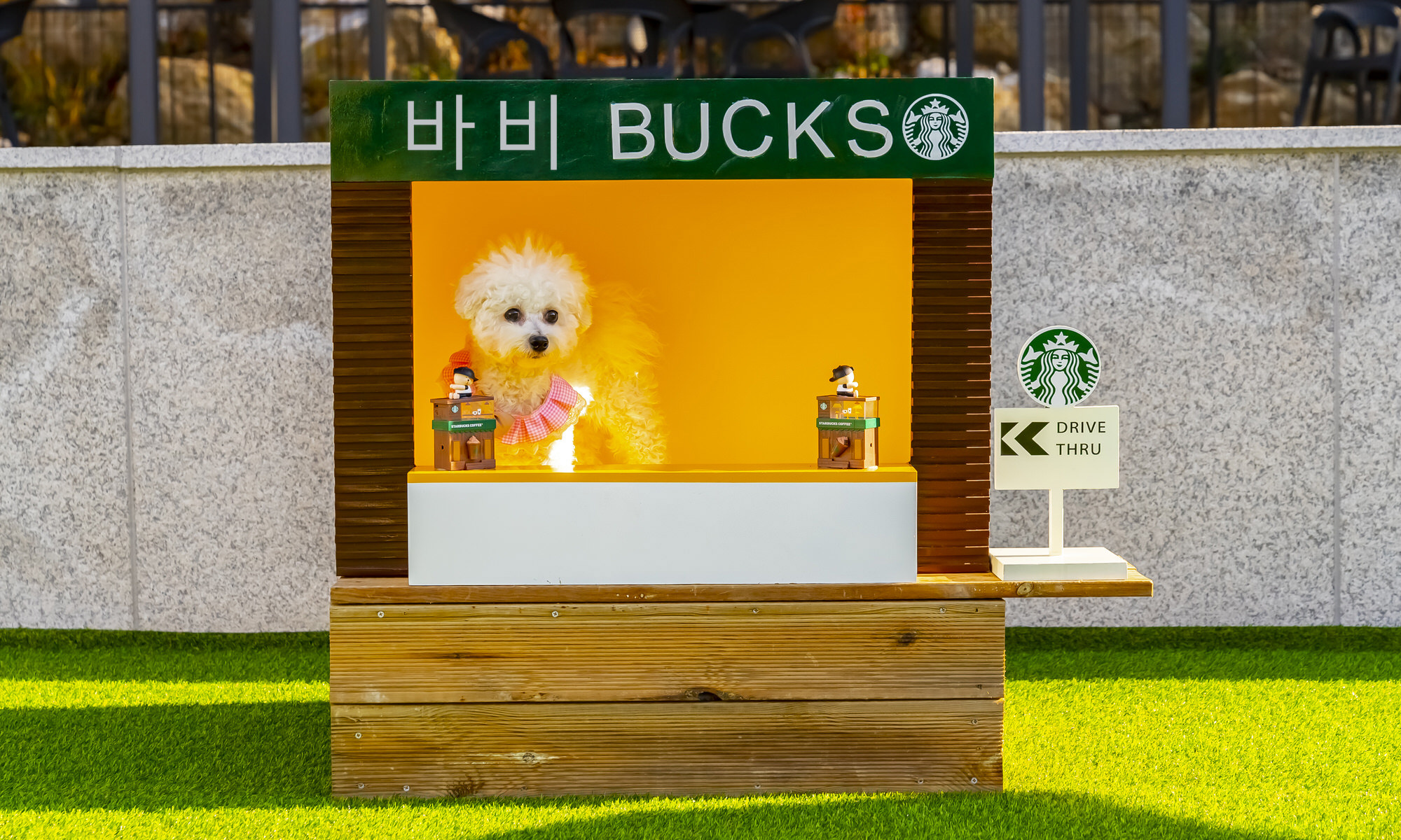 헤이댕댕유치원 3