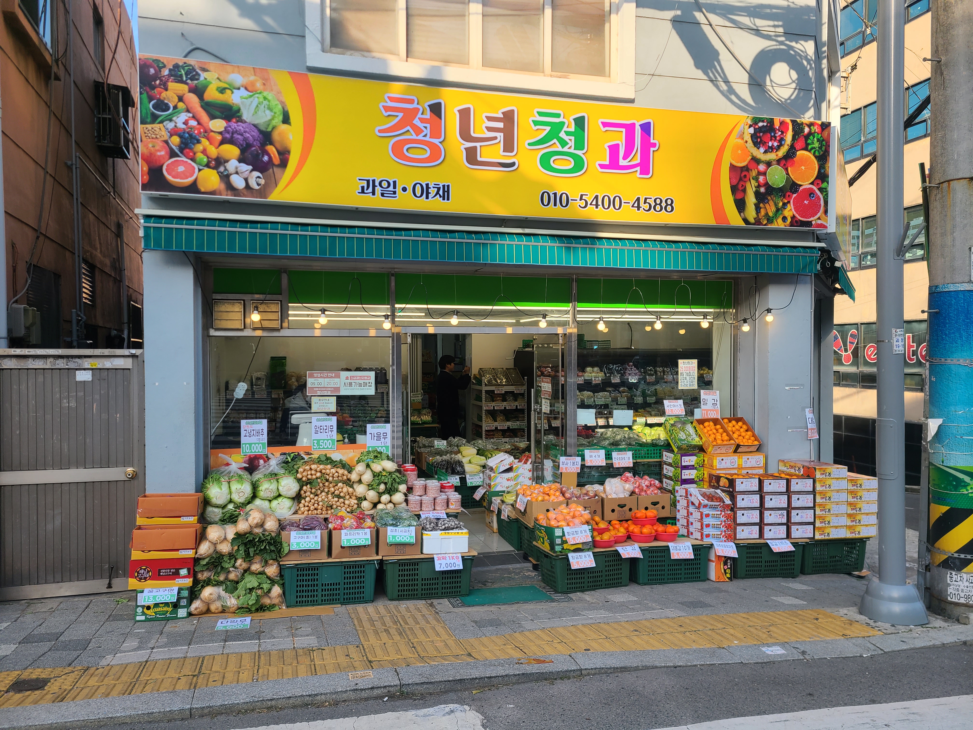 청년청과