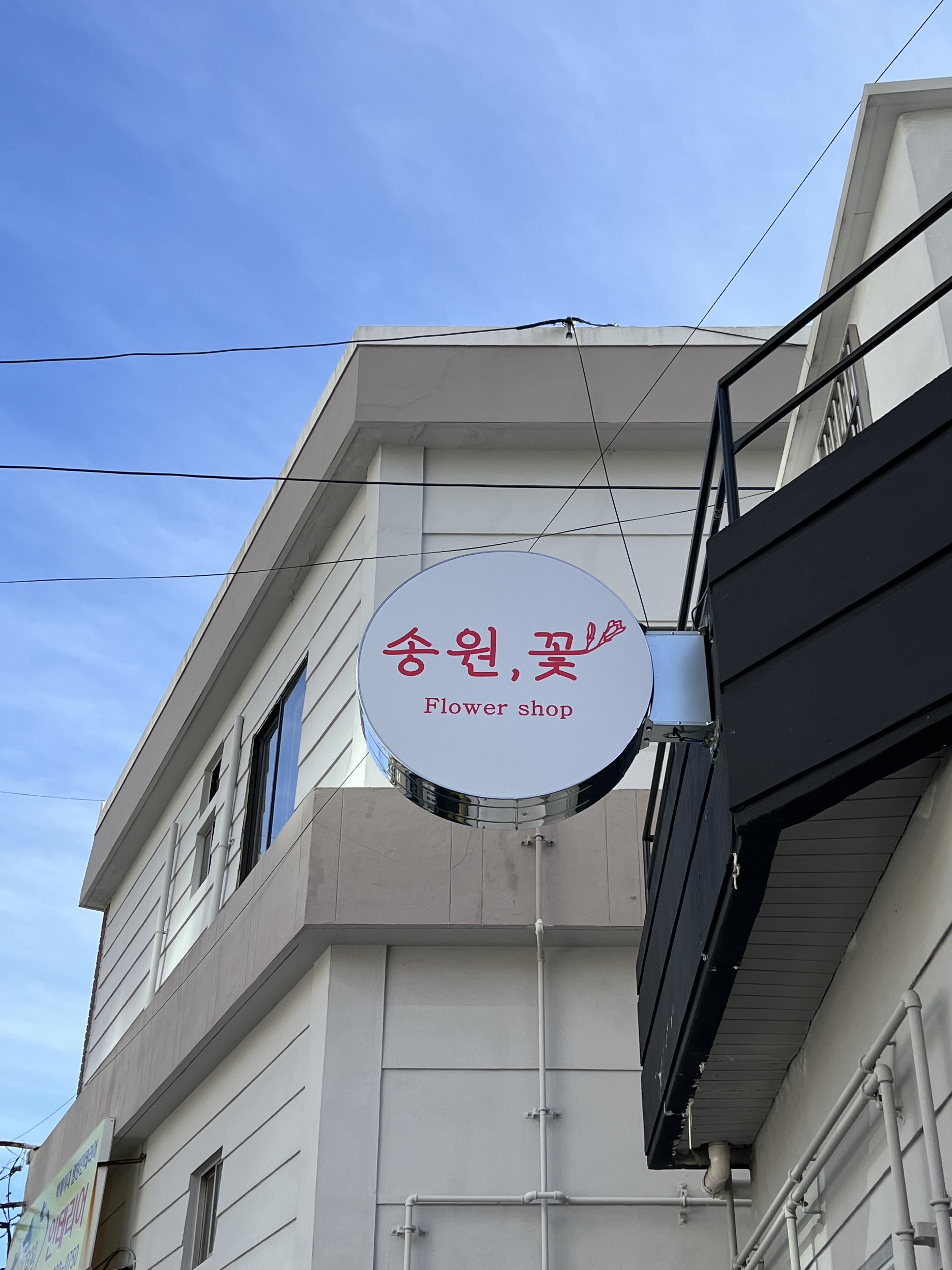 송원,꽃