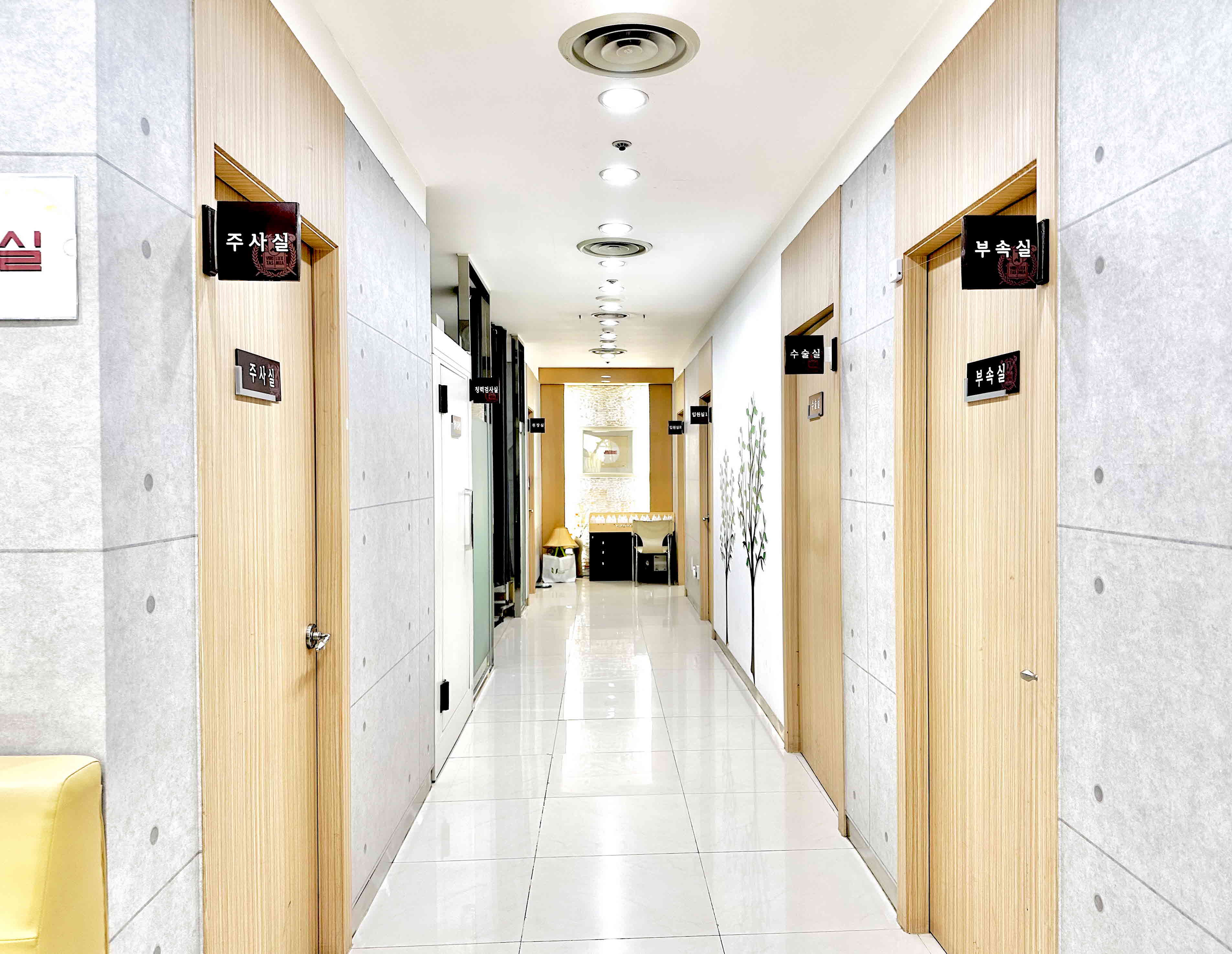 서울이비인후과의원 대표 이미지