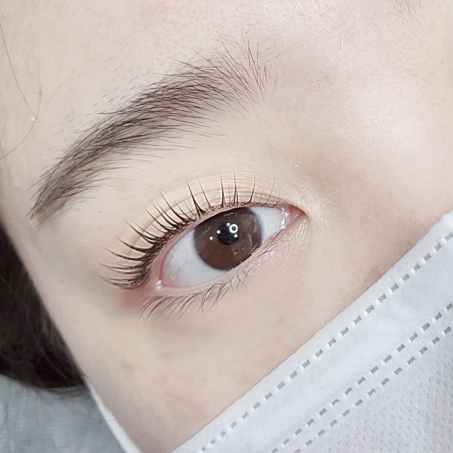 살롱 드 브로우
