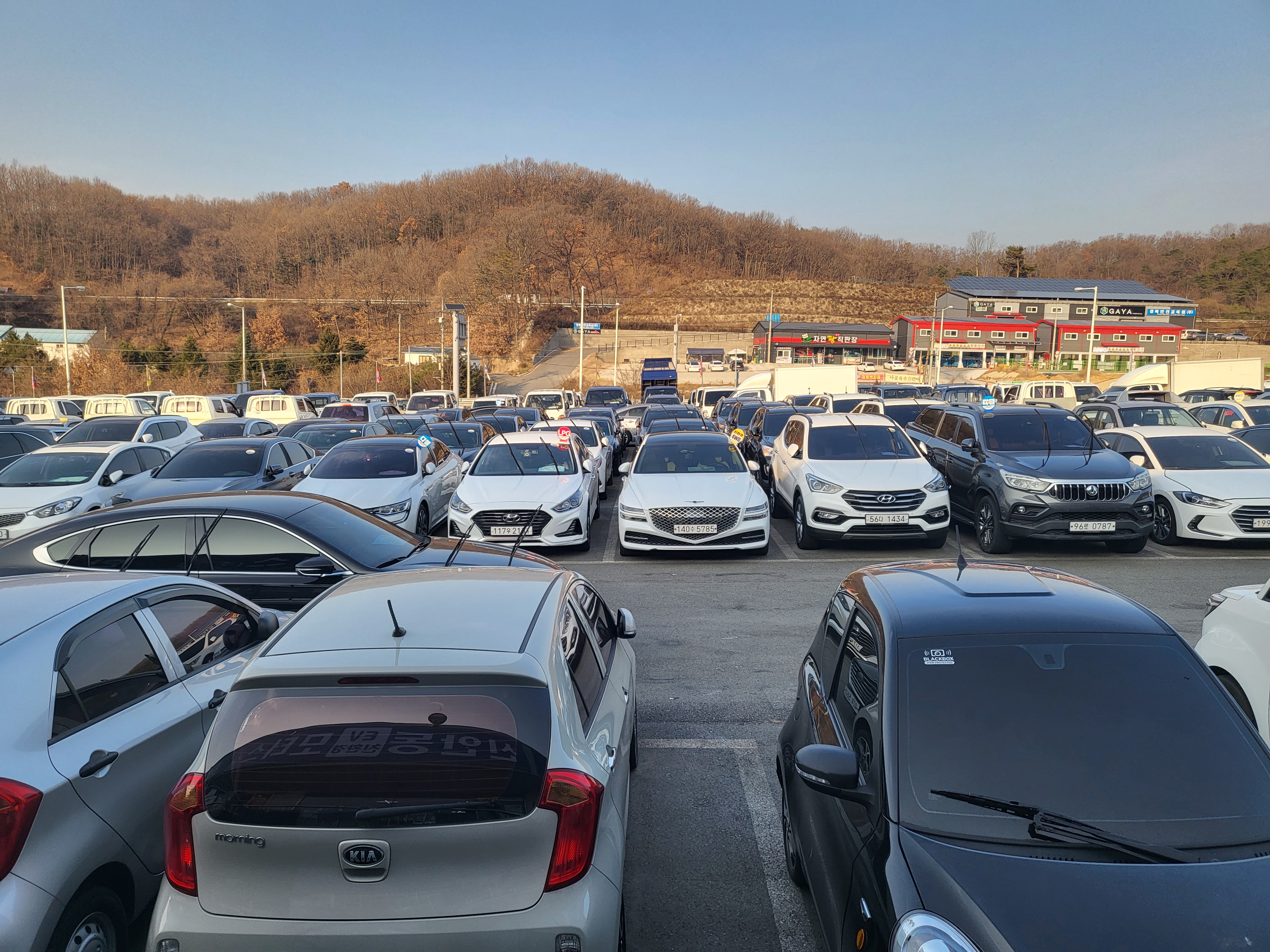 안동중고차신대표