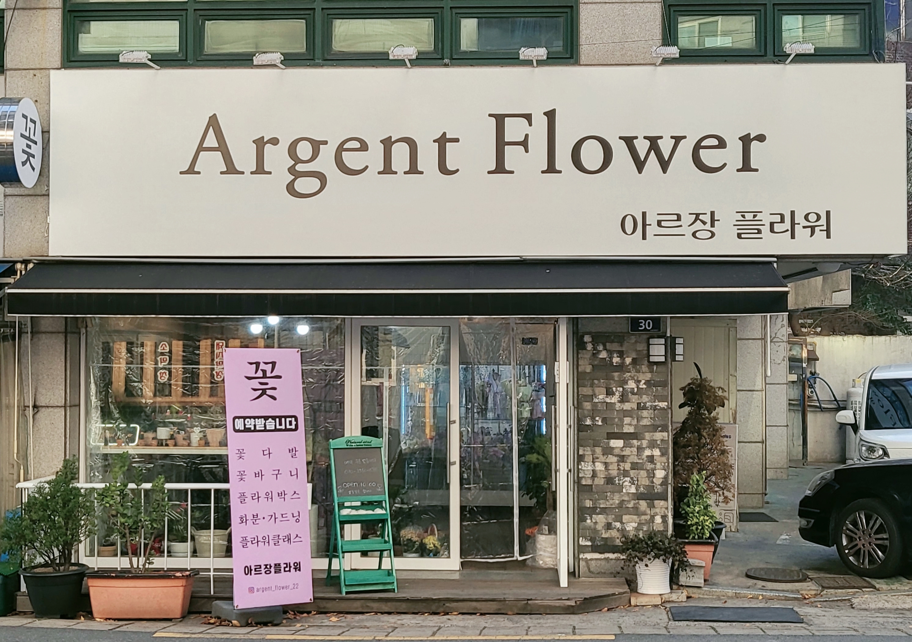 아르장플라워