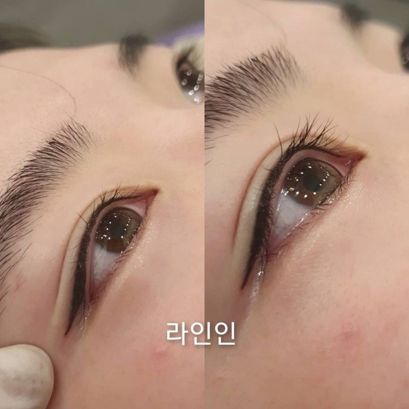 라인인눈썹