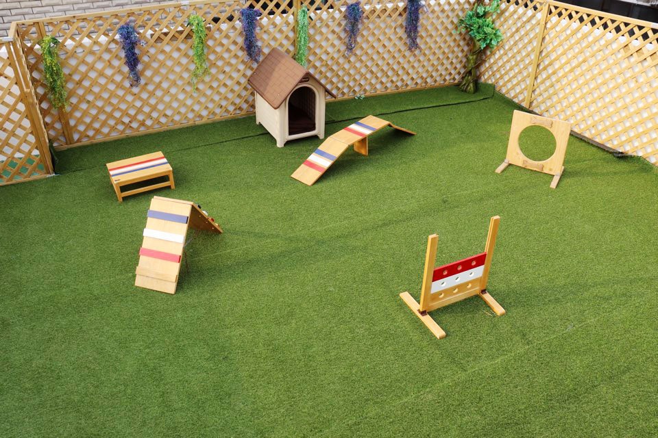 컴투펫위탁보호센터 수원점 대표 이미지