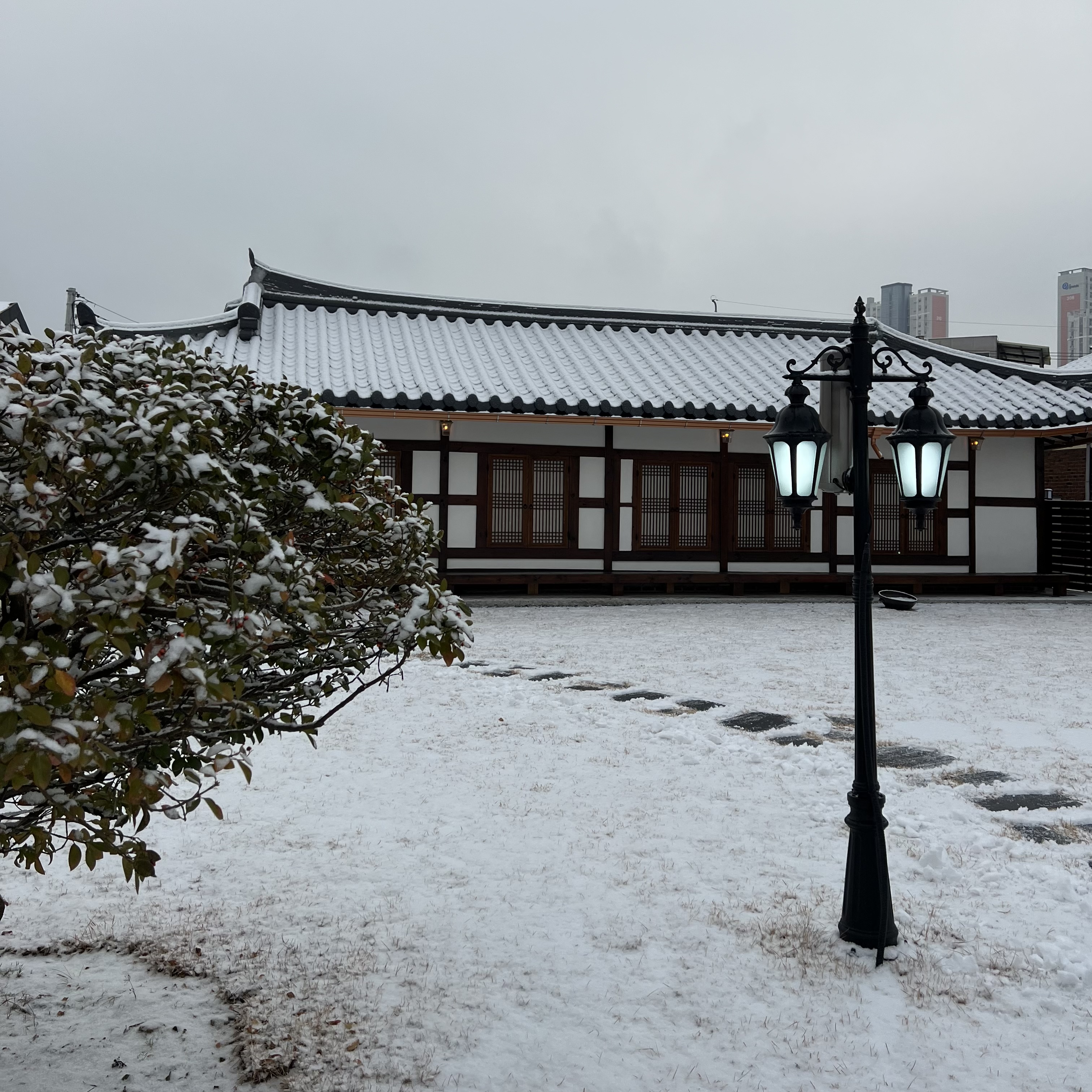 대소고택 카페