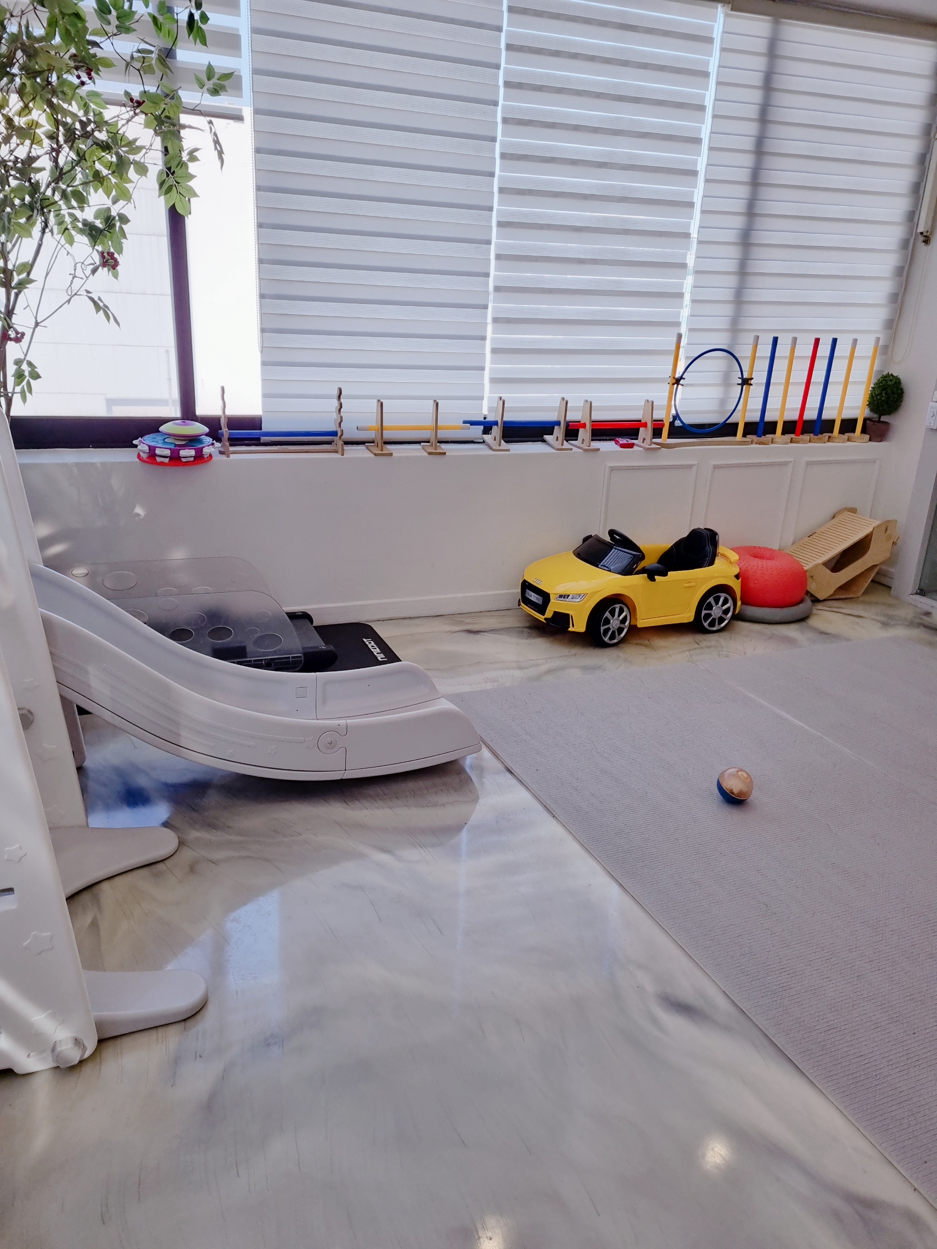 댕댕이랑 대표 이미지