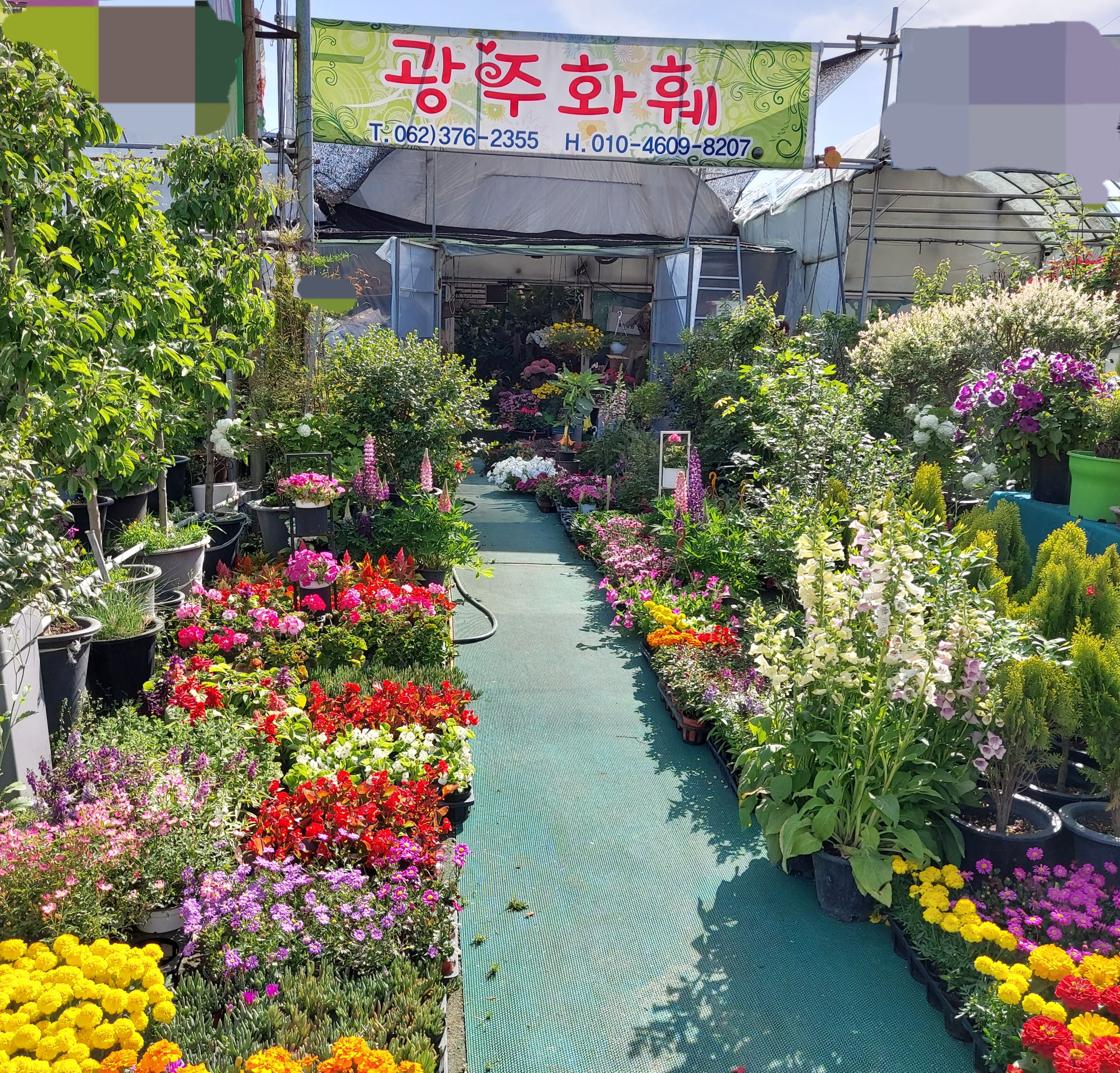 광주화훼