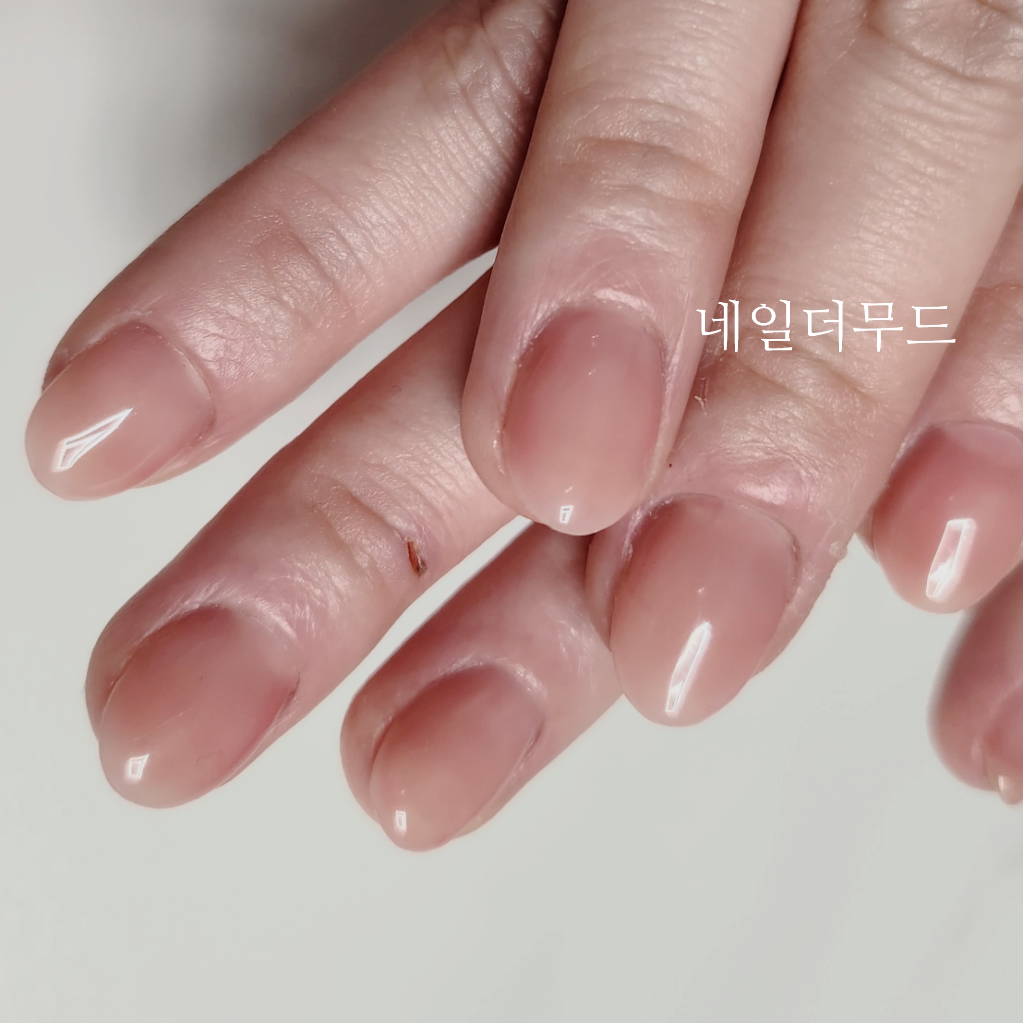 네일더무드