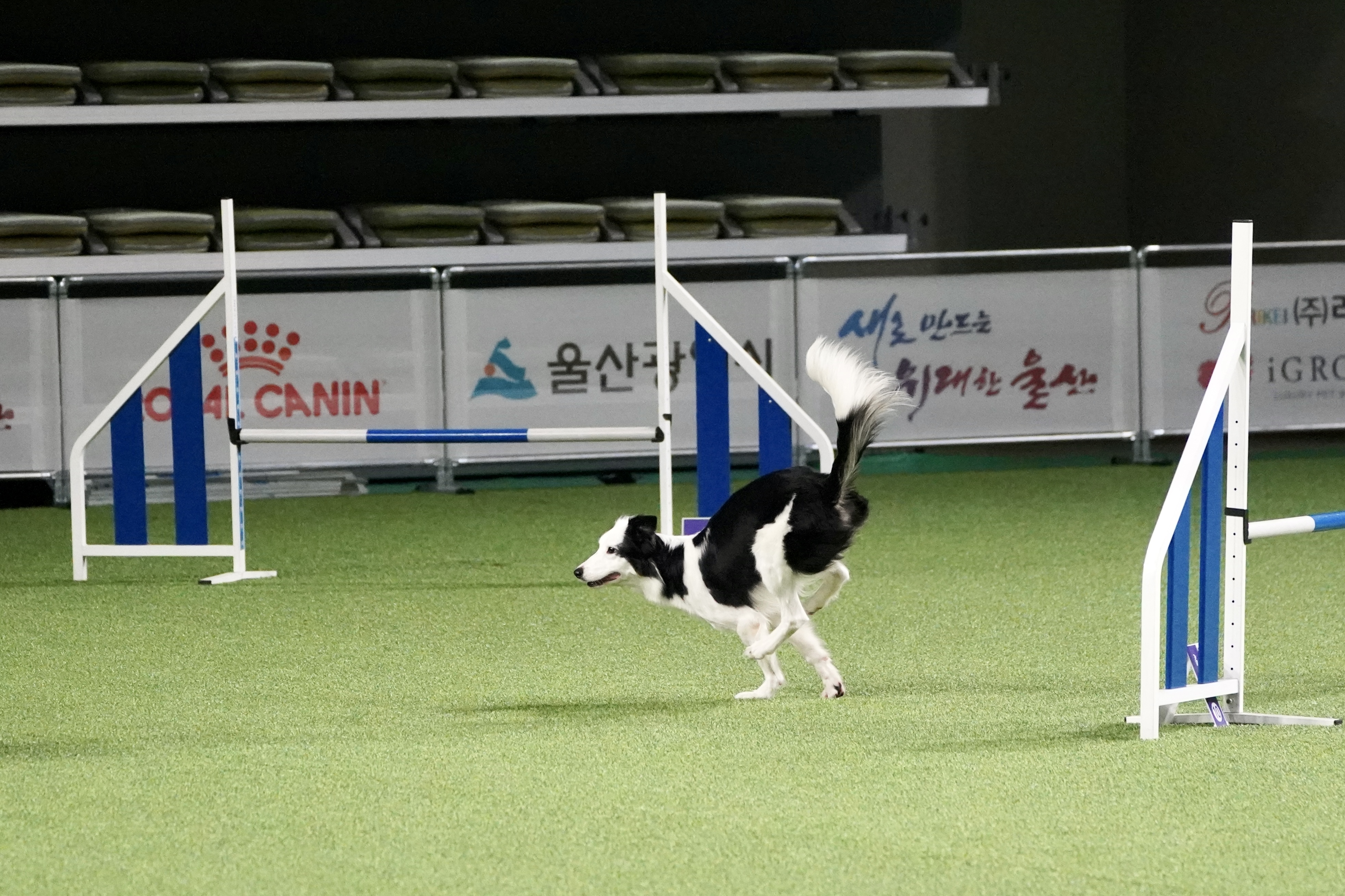 이재룡의 뭉개뭉개유치원 대표 이미지