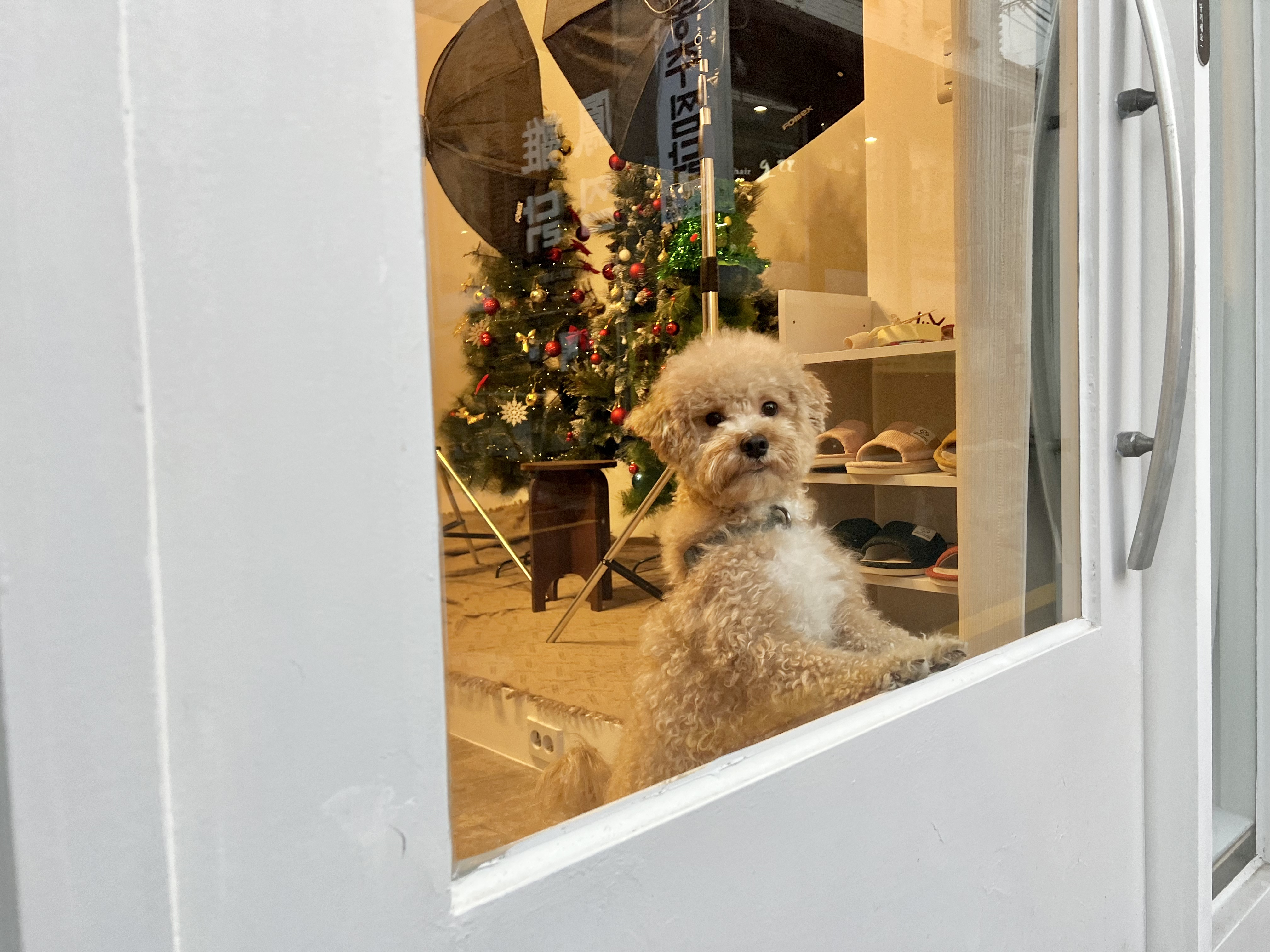 마고픽스튜디오 대표 이미지