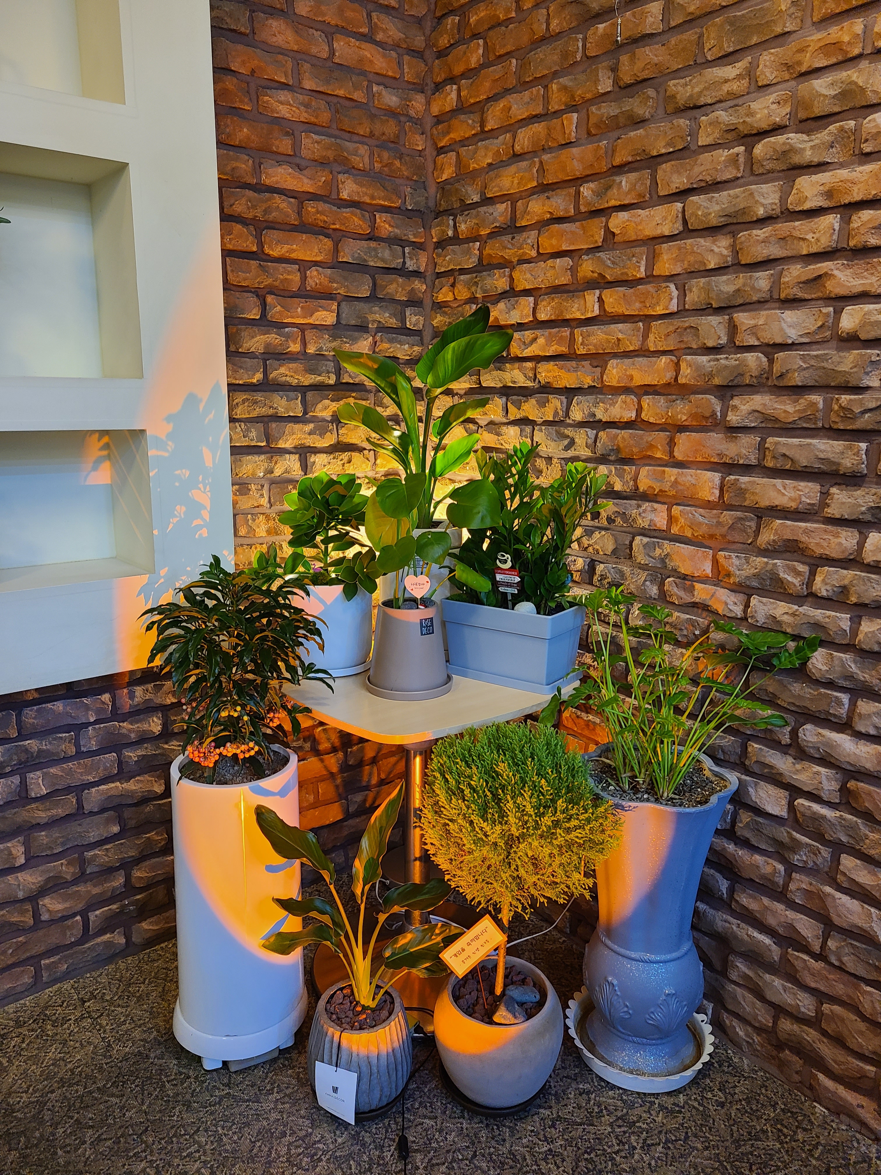 레인보우카페 대표 이미지