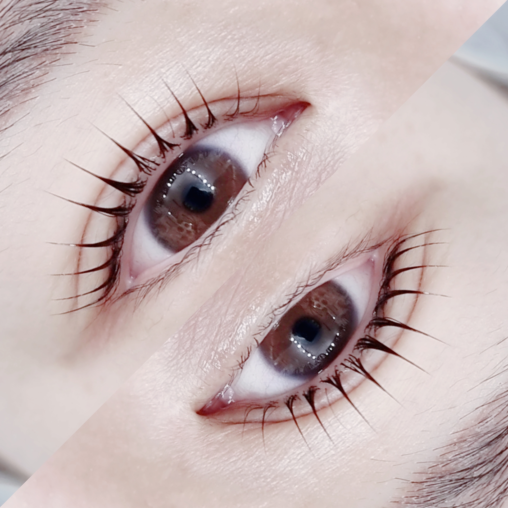 The끌림 대표 이미지