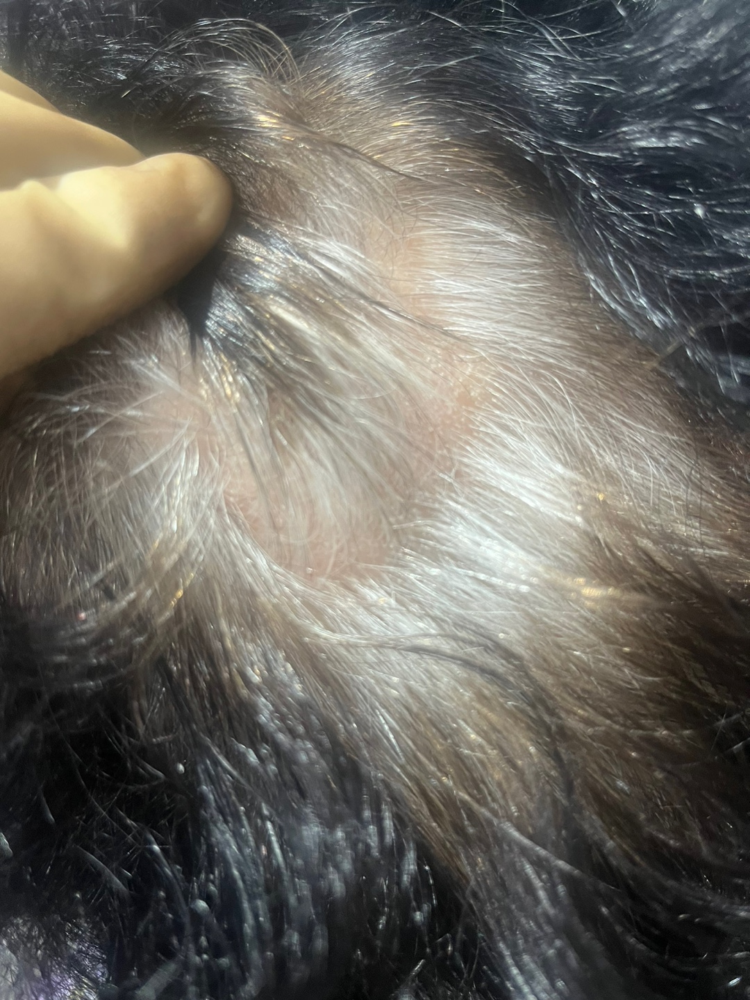 수앤큐사랑 염색 피부관리 속눈썹 두피탈모 대표 이미지