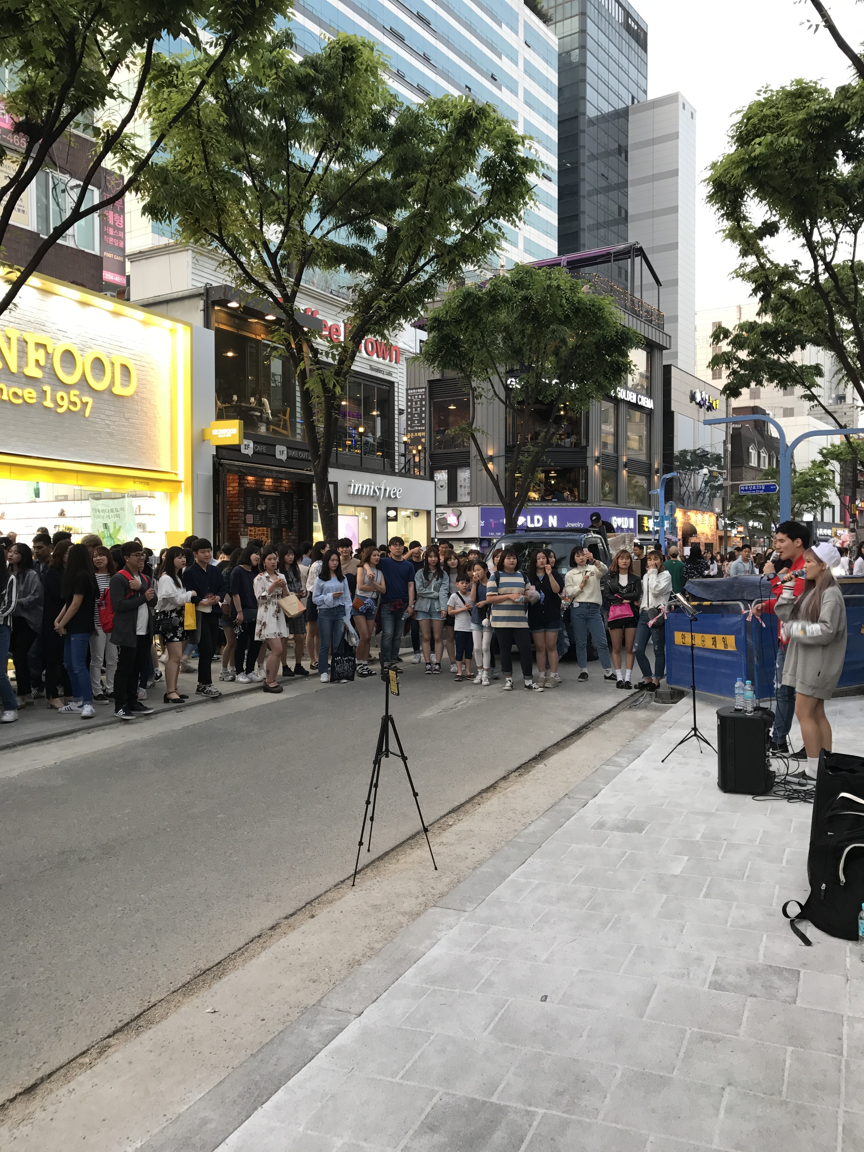 기발한 보컬 강남