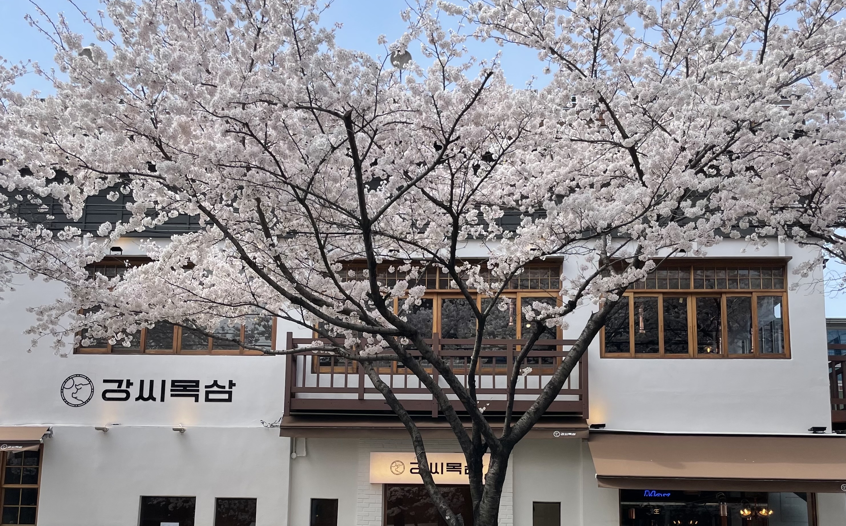 강씨목삼 앞산본점