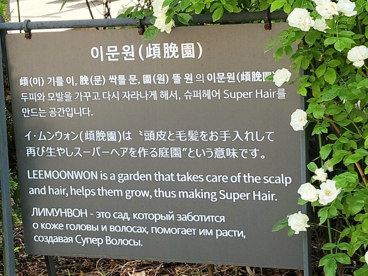 이문원한의원 대표 이미지