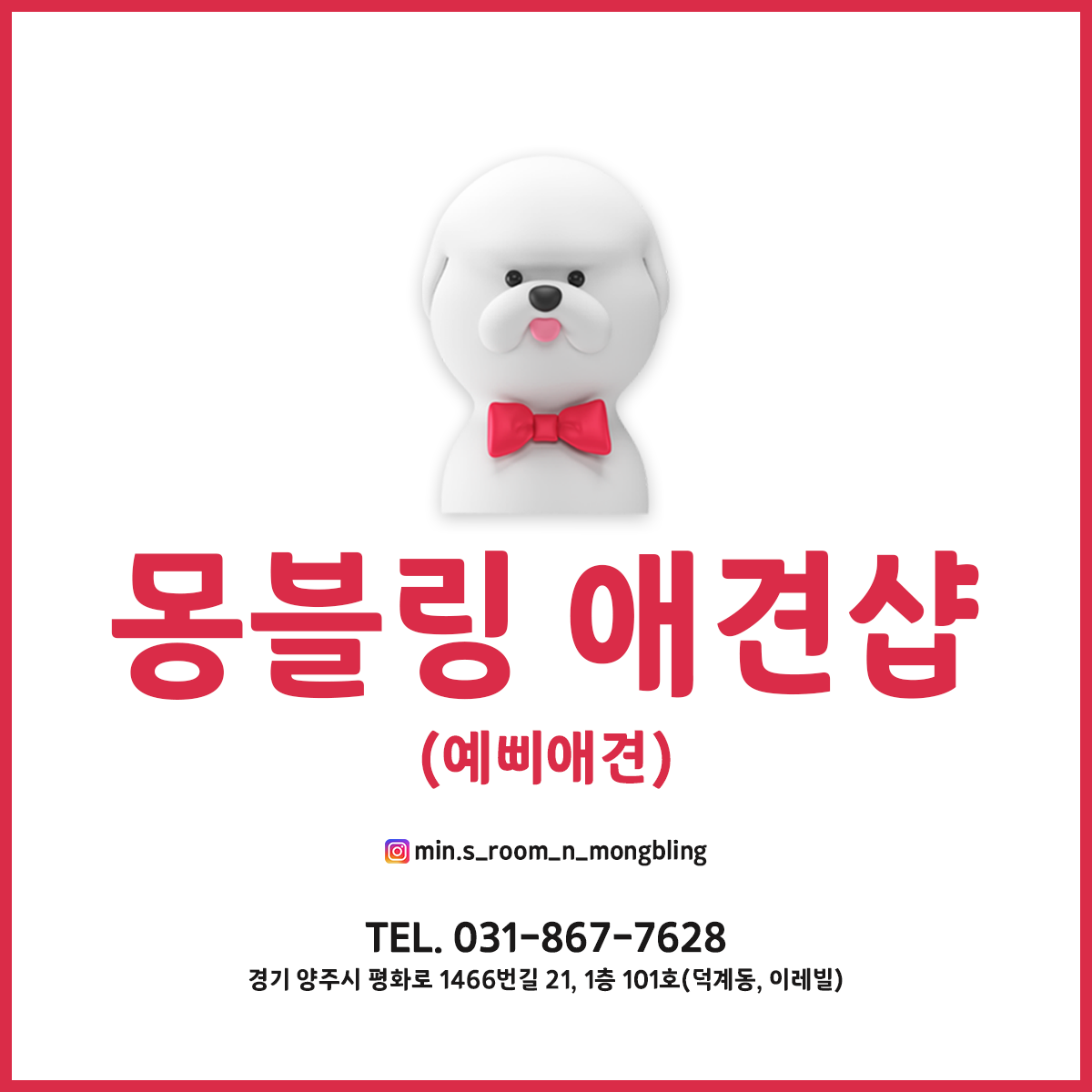 몽블링애견샵 대표 이미지