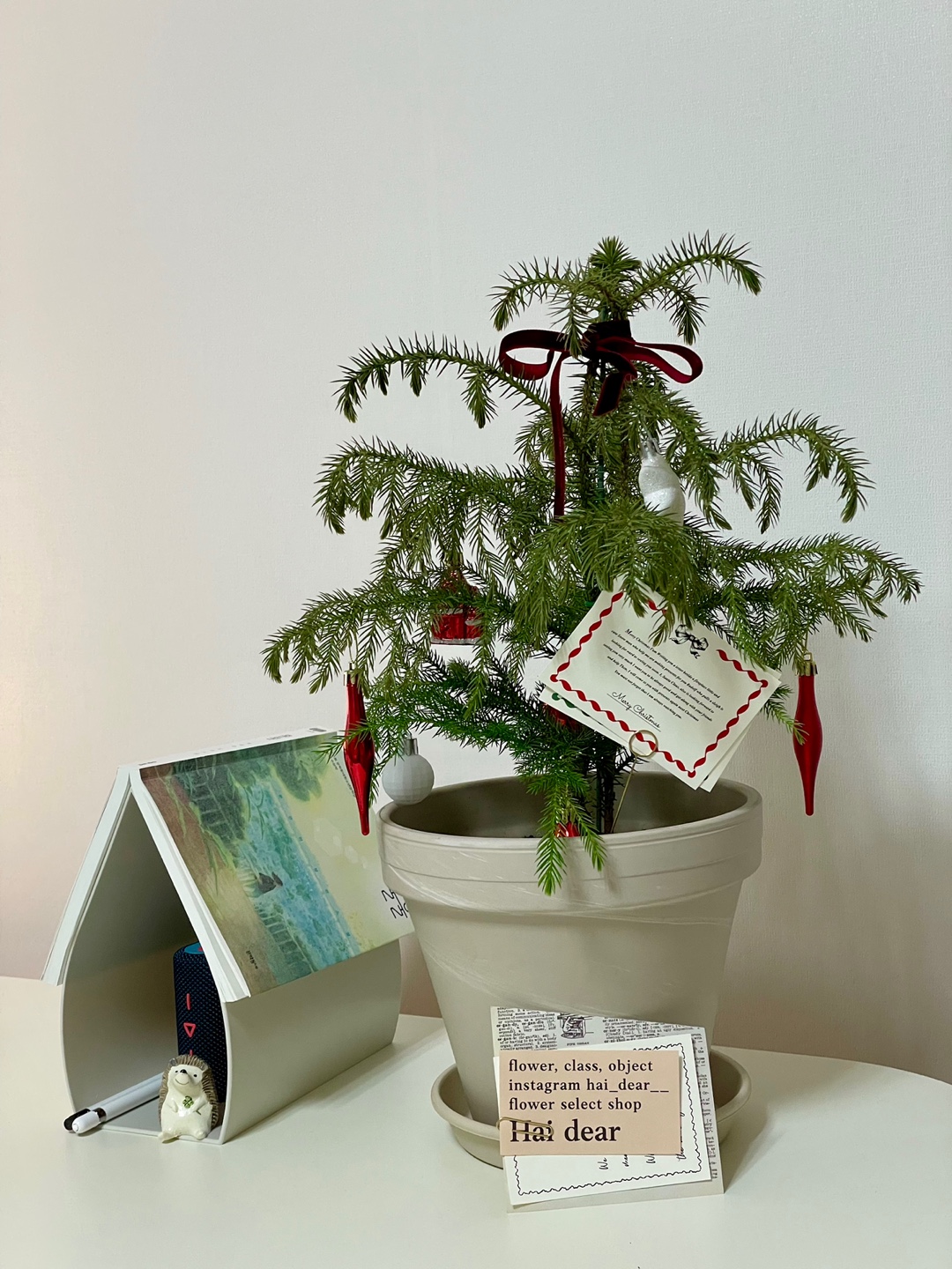 마음다음 트라우마 심리상담센터 대표 이미지