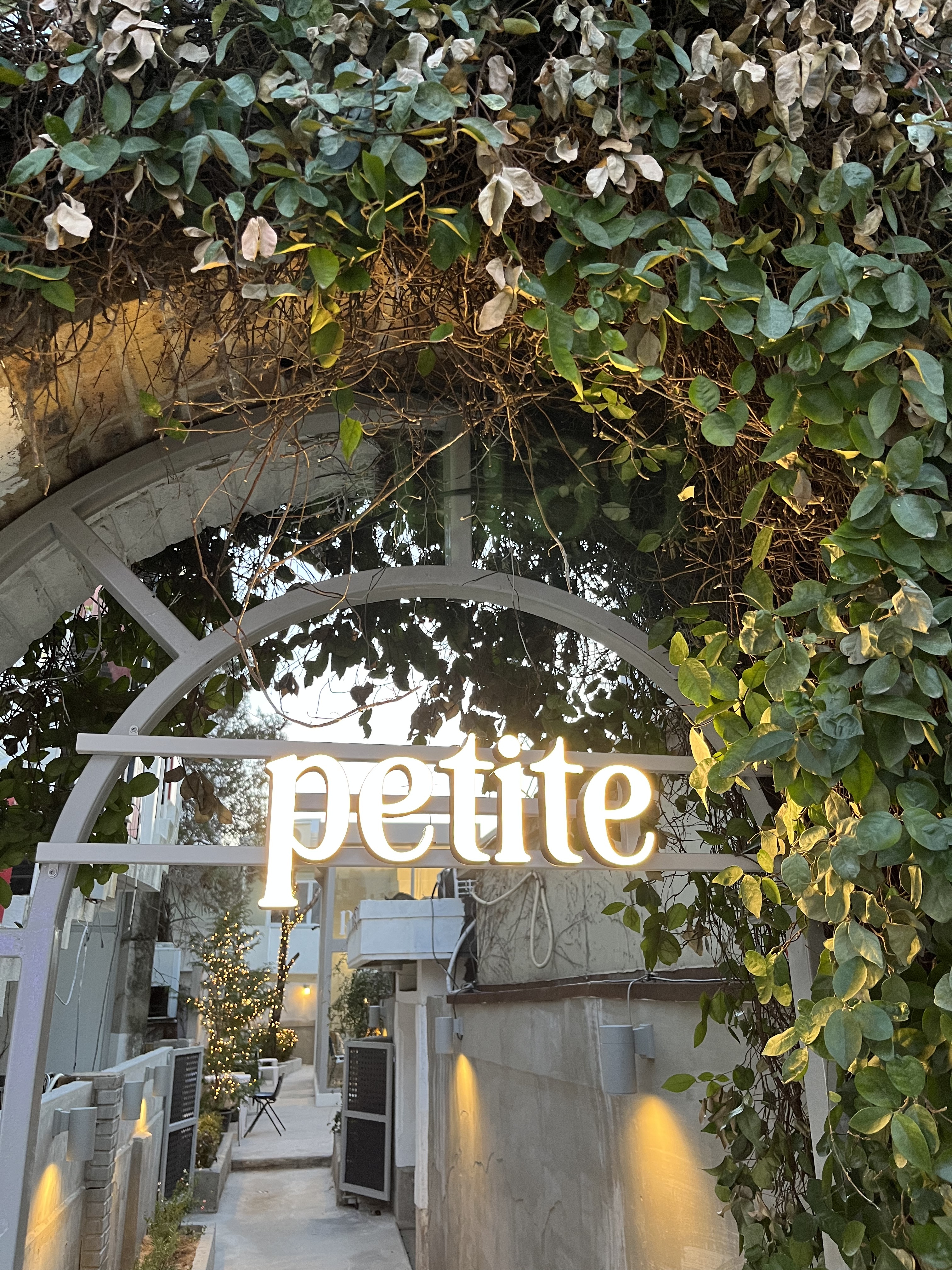쁘띠트