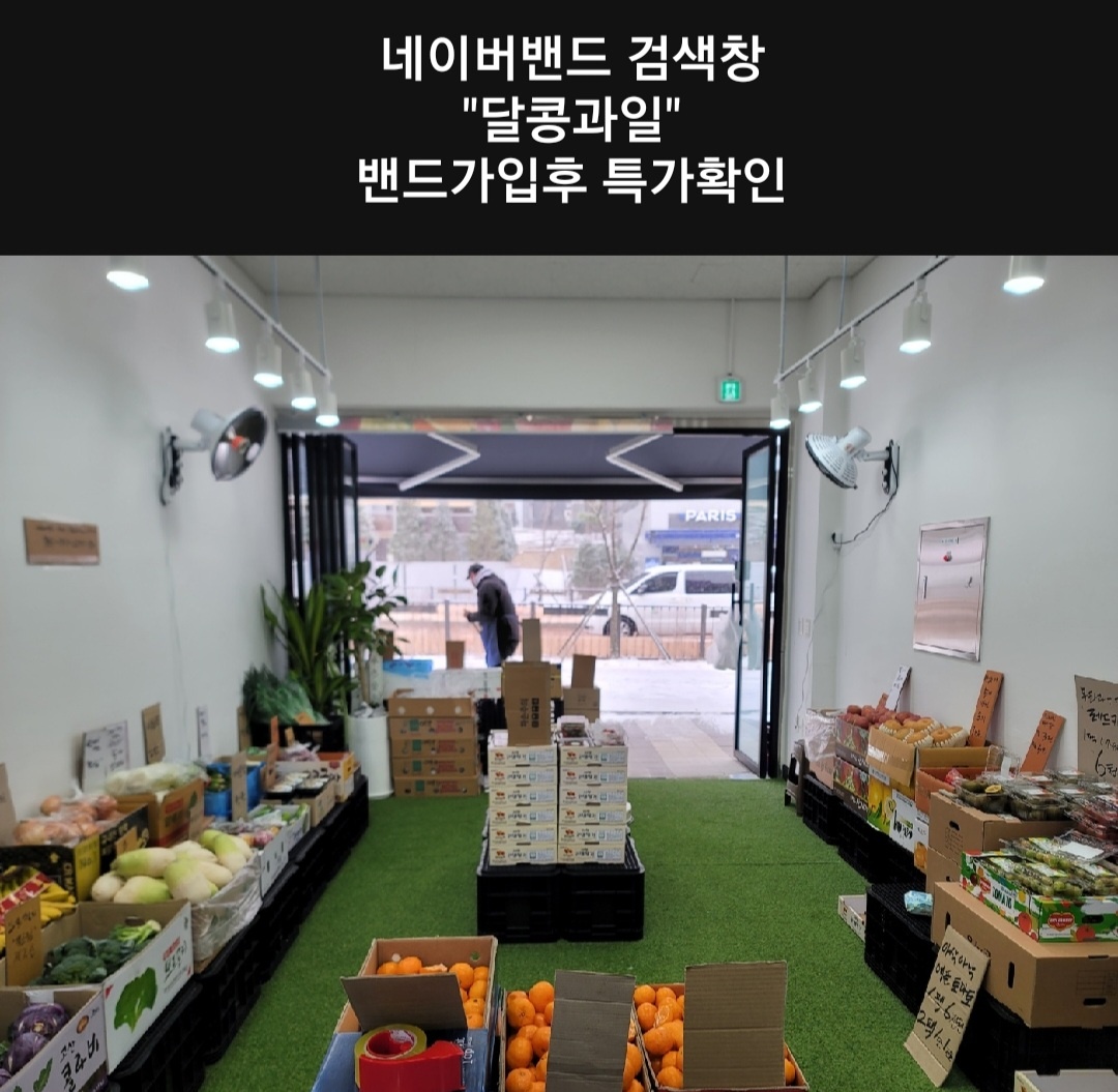 달콩과일