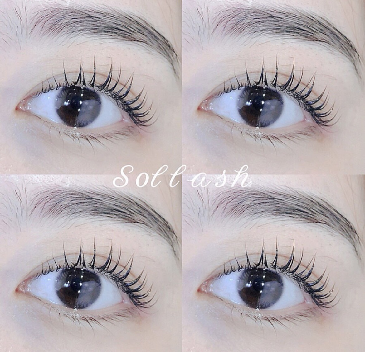 솔래쉬 수원인계본점 대표 이미지