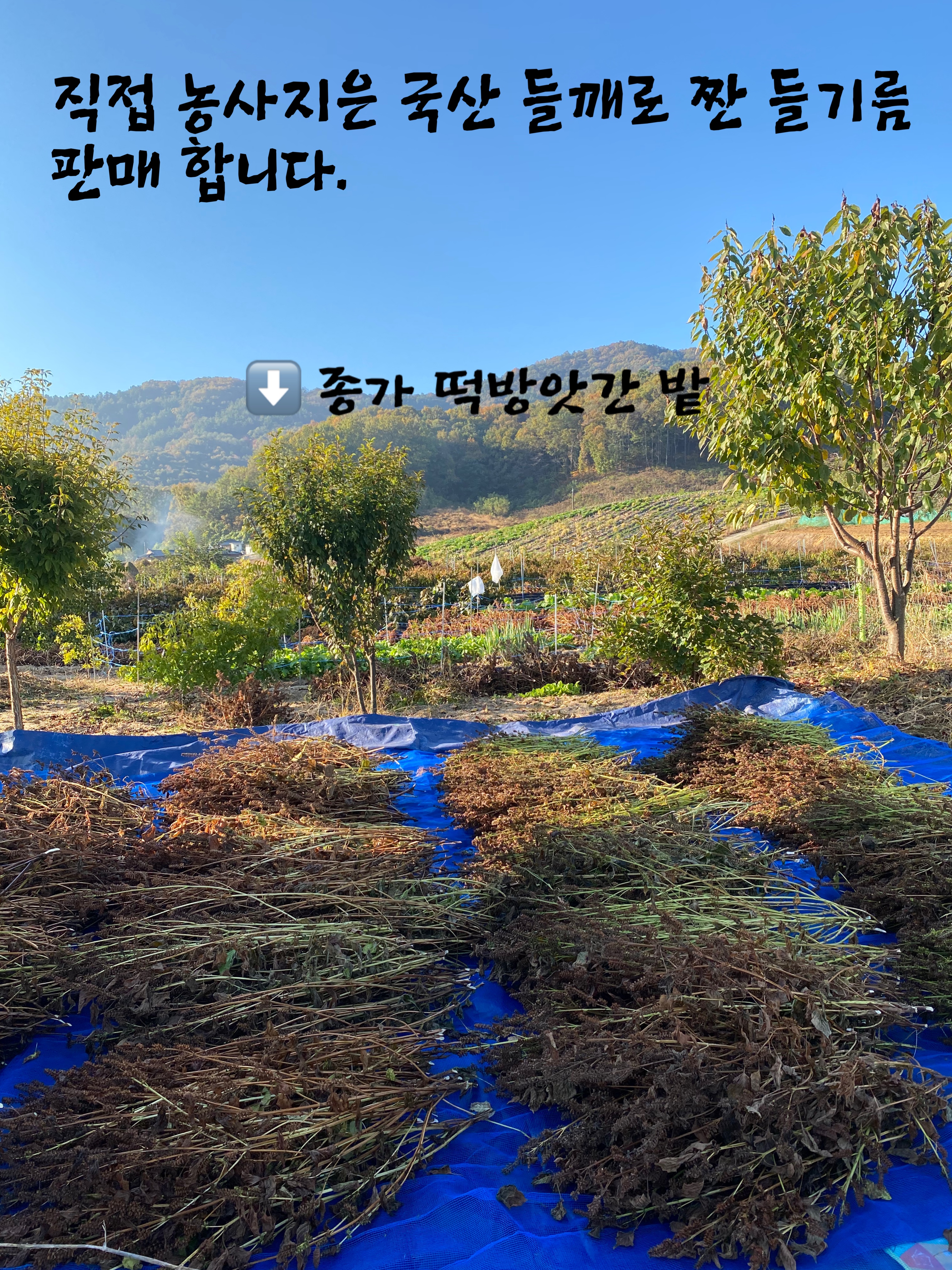 종가떡방앗간
