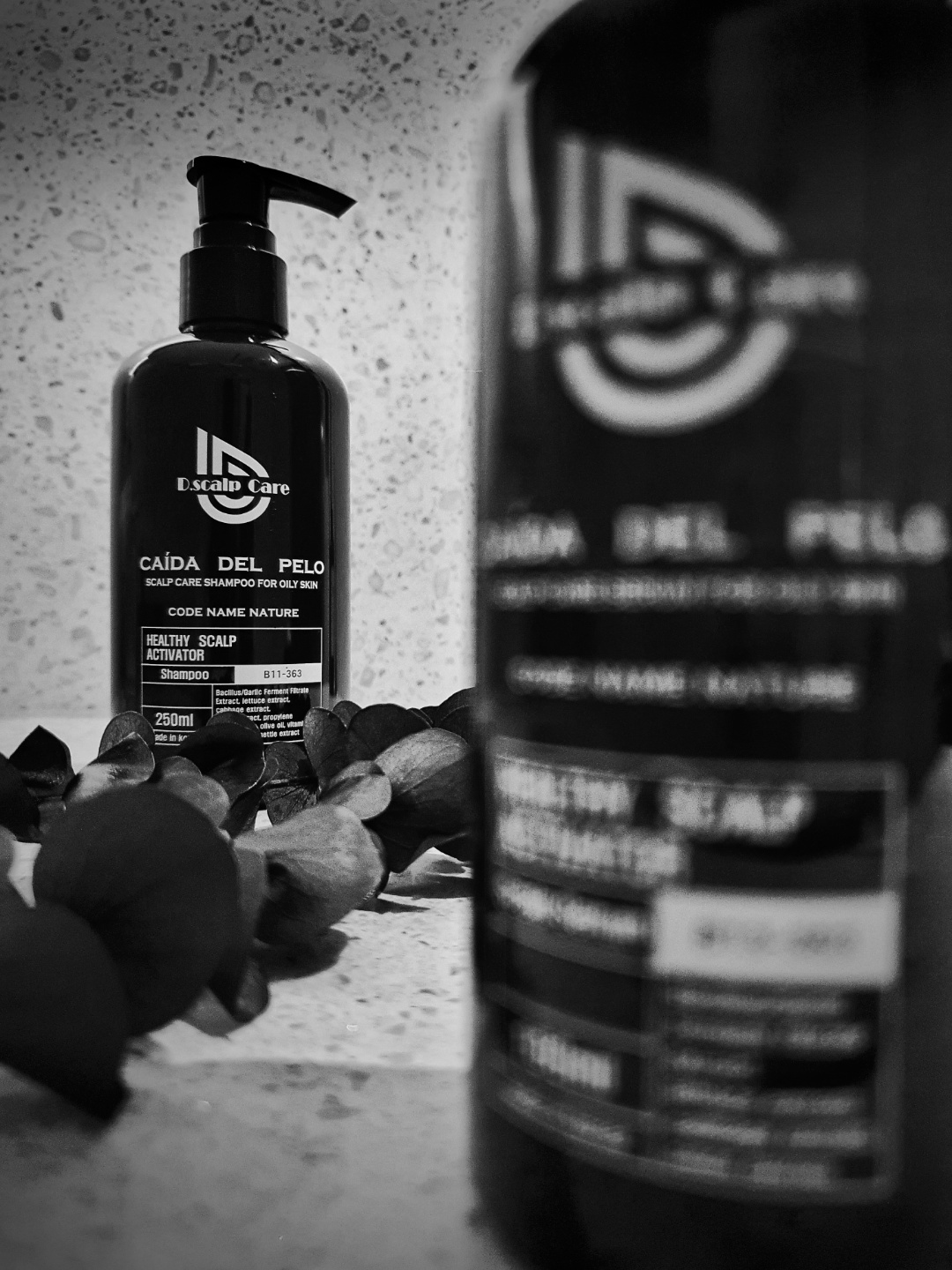 드로우모모 대표 이미지